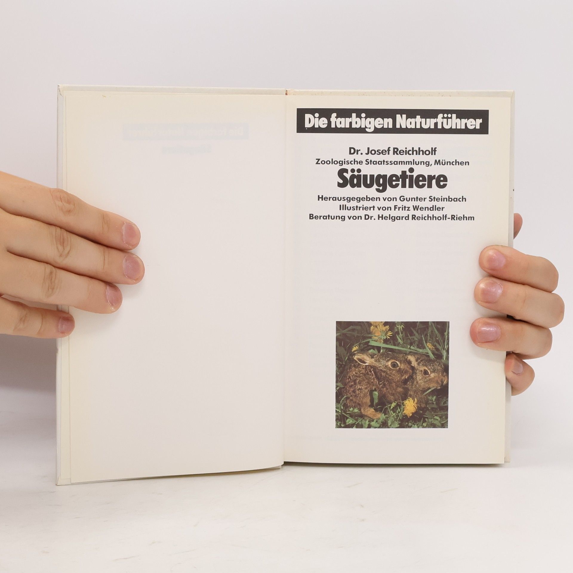 Various authors Säugetiere