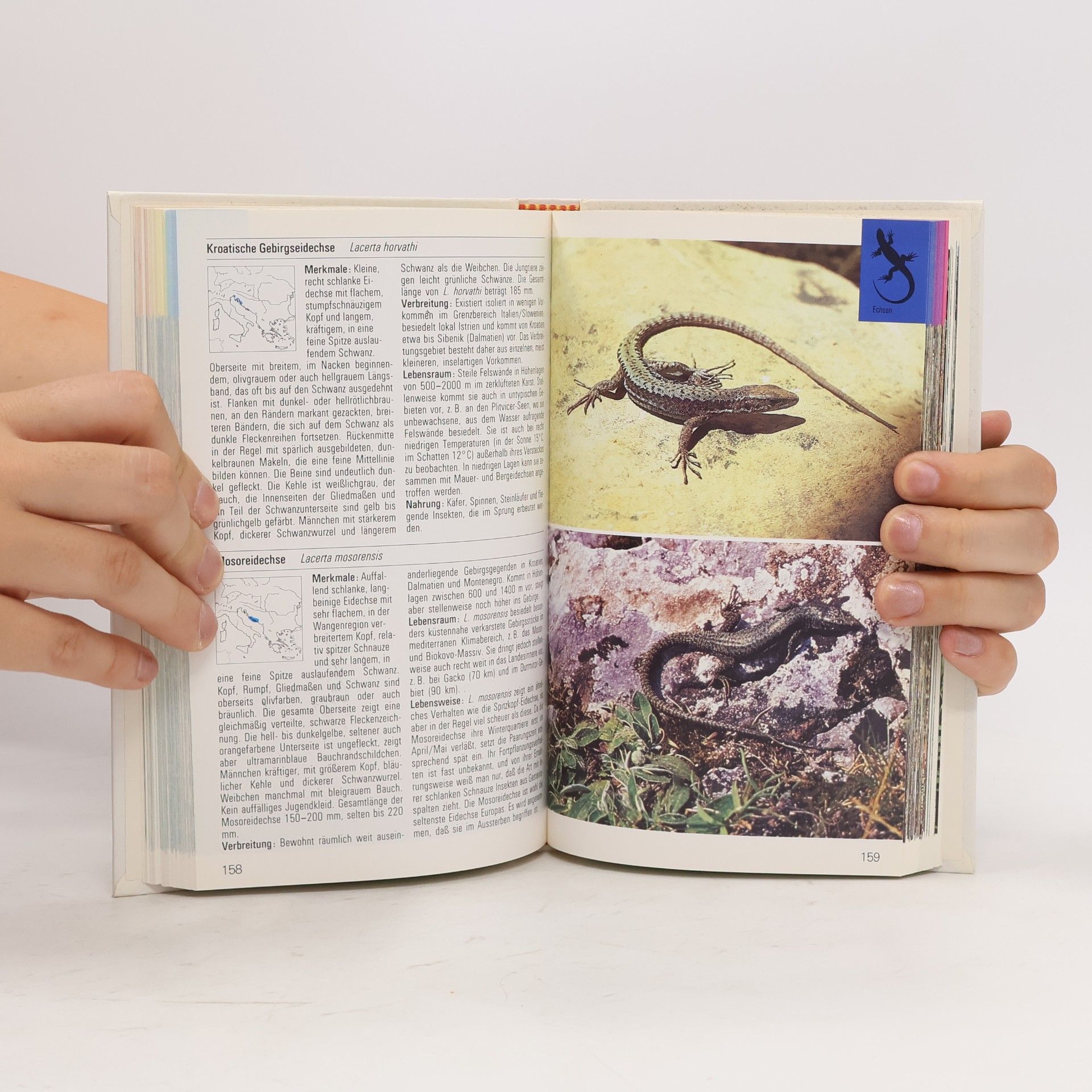 Autores varios Die farbigen Naturführer: Lurche und Kriechtiere