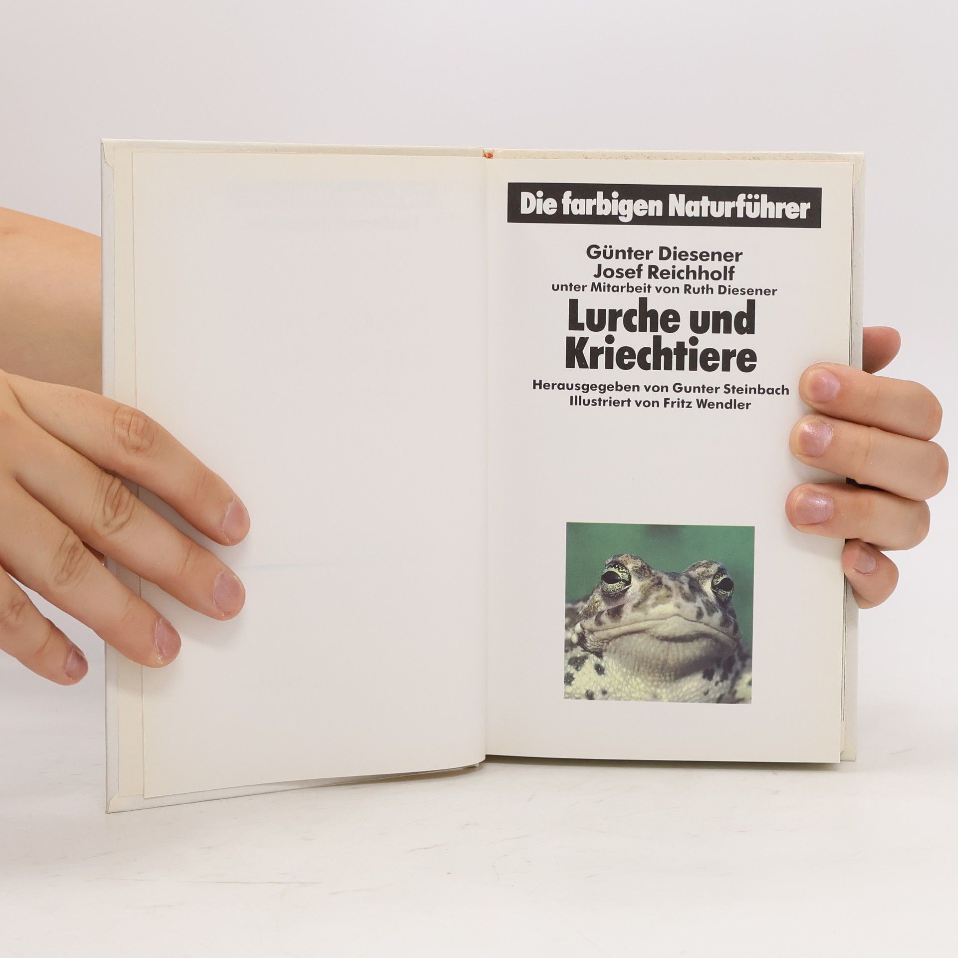 Autores varios Die farbigen Naturführer: Lurche und Kriechtiere