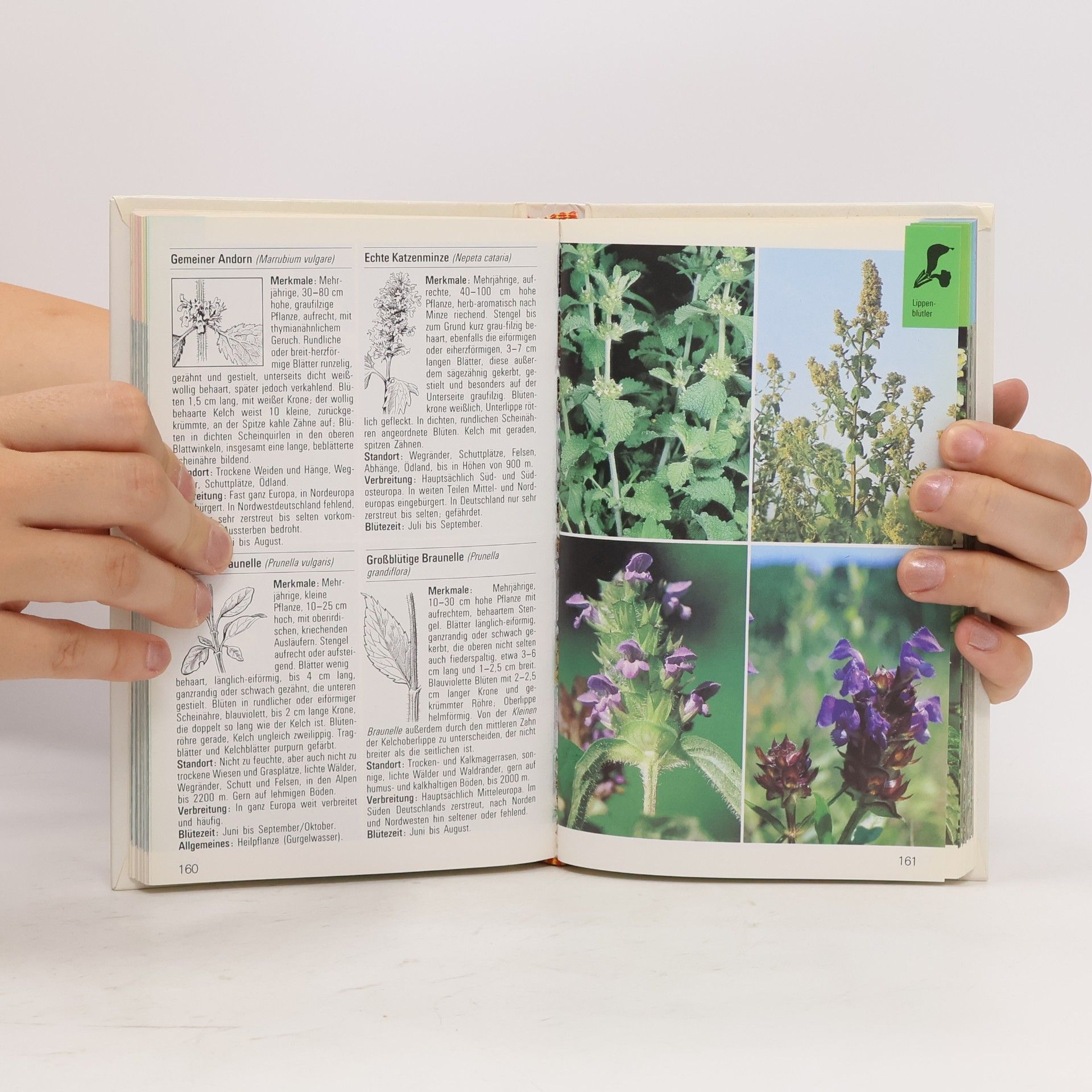 Autorenkollektiv Die Farbigen Naturführer. Wildblumen