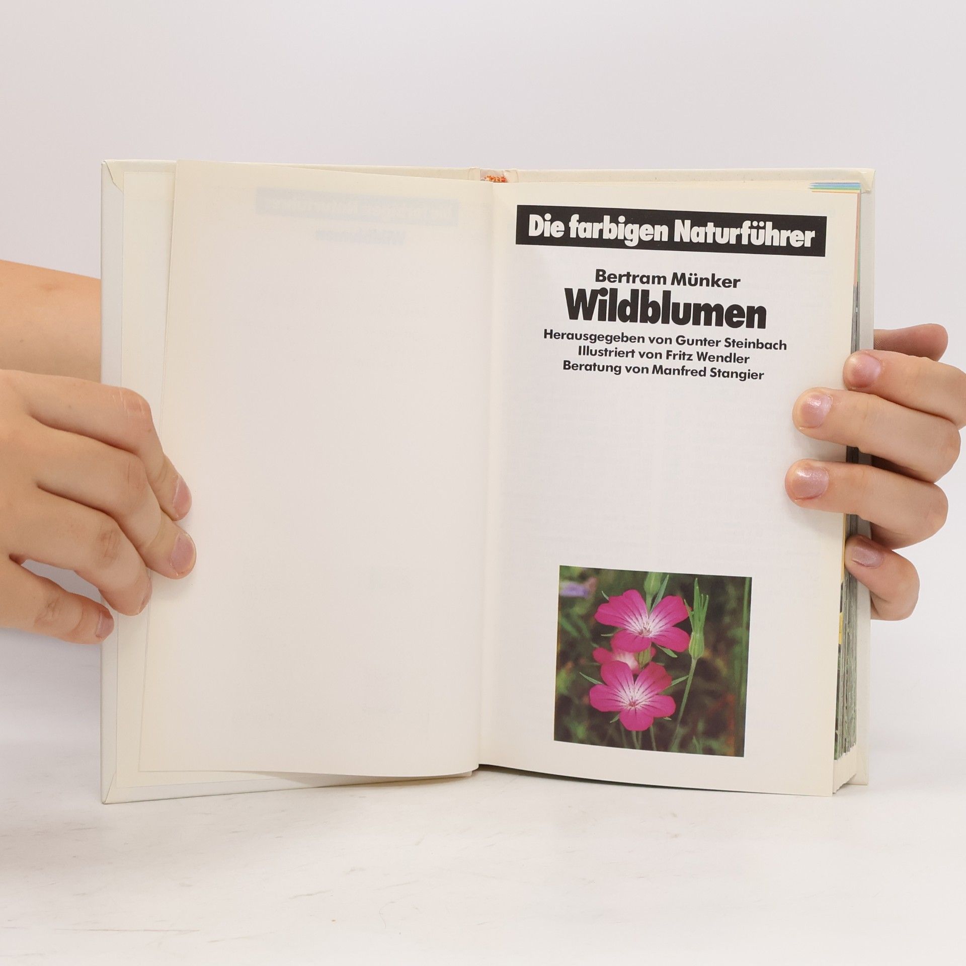 Autorenkollektiv Die Farbigen Naturführer. Wildblumen