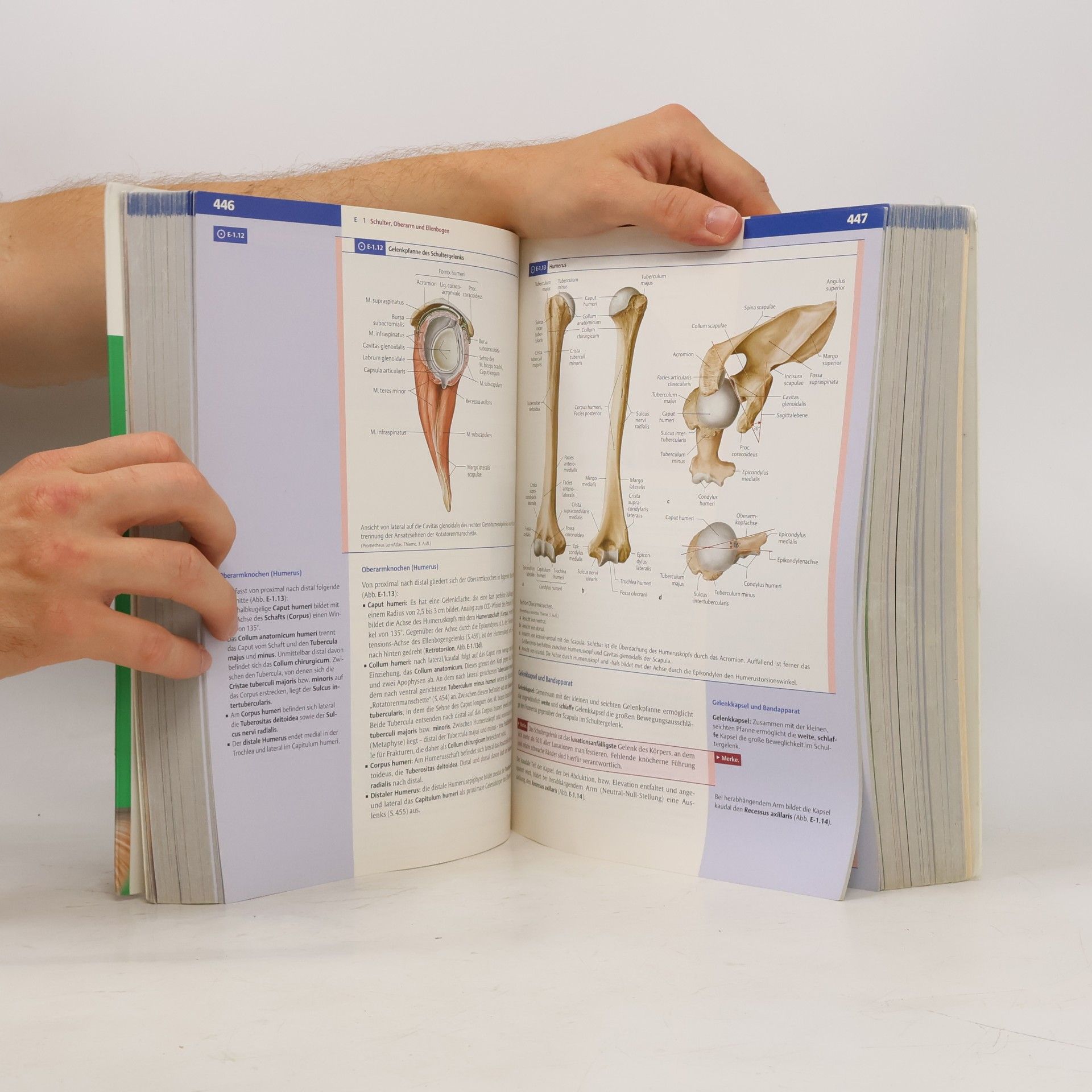 Gerhard Aumüller Anatomie