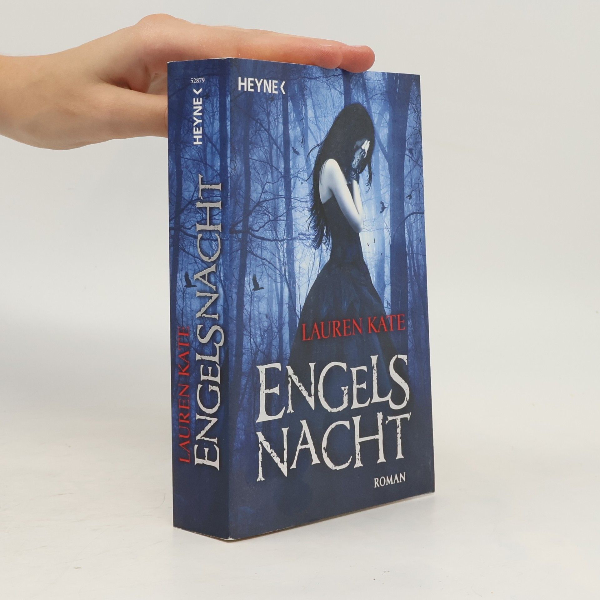 Lauren Kate Engels Nacht