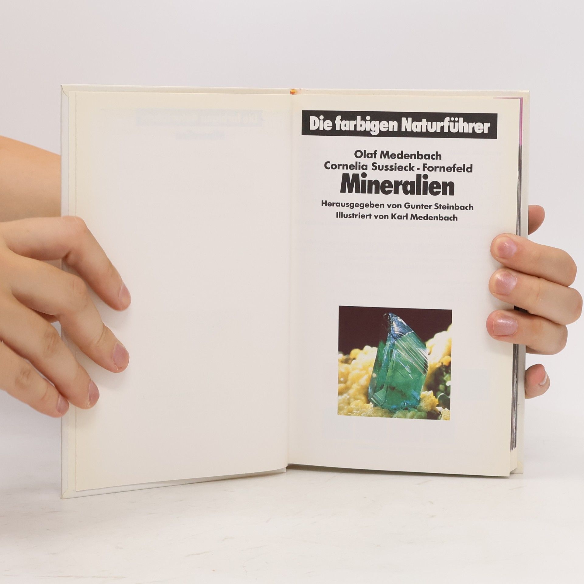 Kolektiv autorů Mineralien