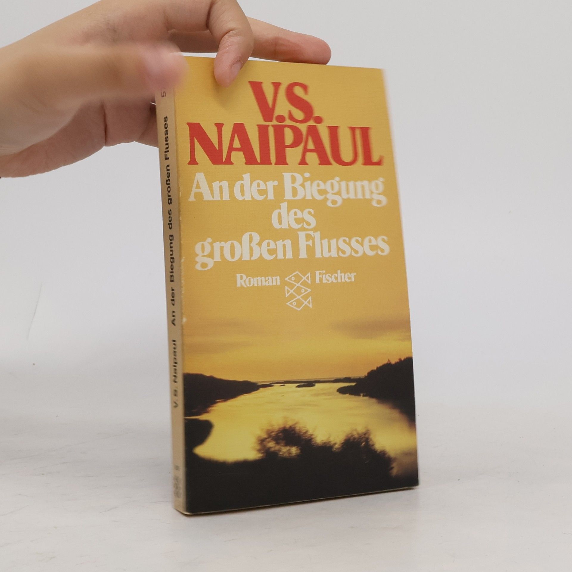 V. S. Naipaul An der Biegung des grossen Flusses