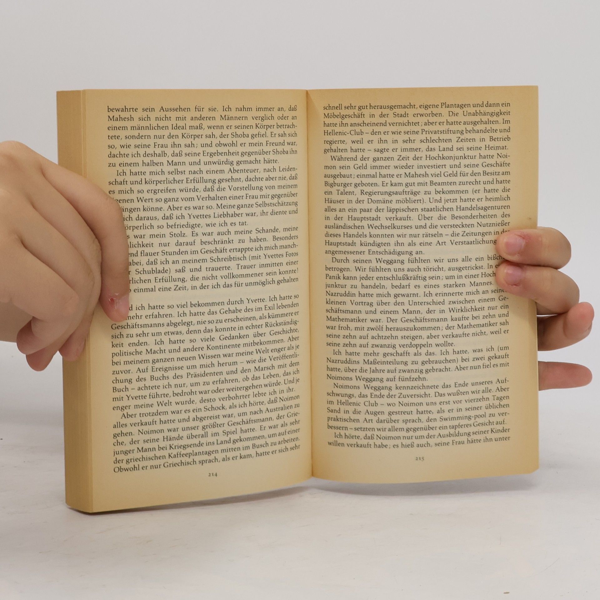 V. S. Naipaul An der Biegung des grossen Flusses