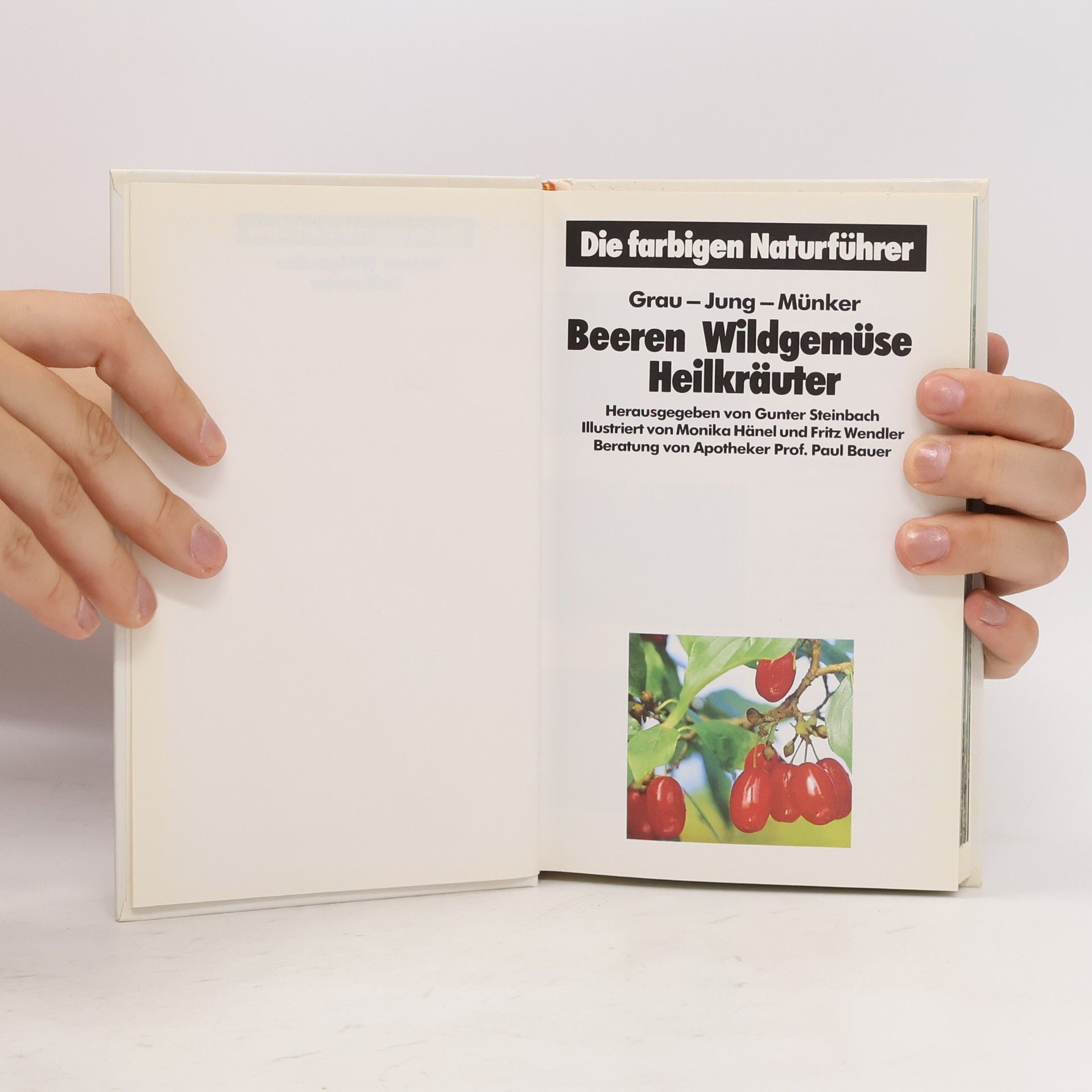 Various authors Beeren, Wildgemüse, Heilkräuter