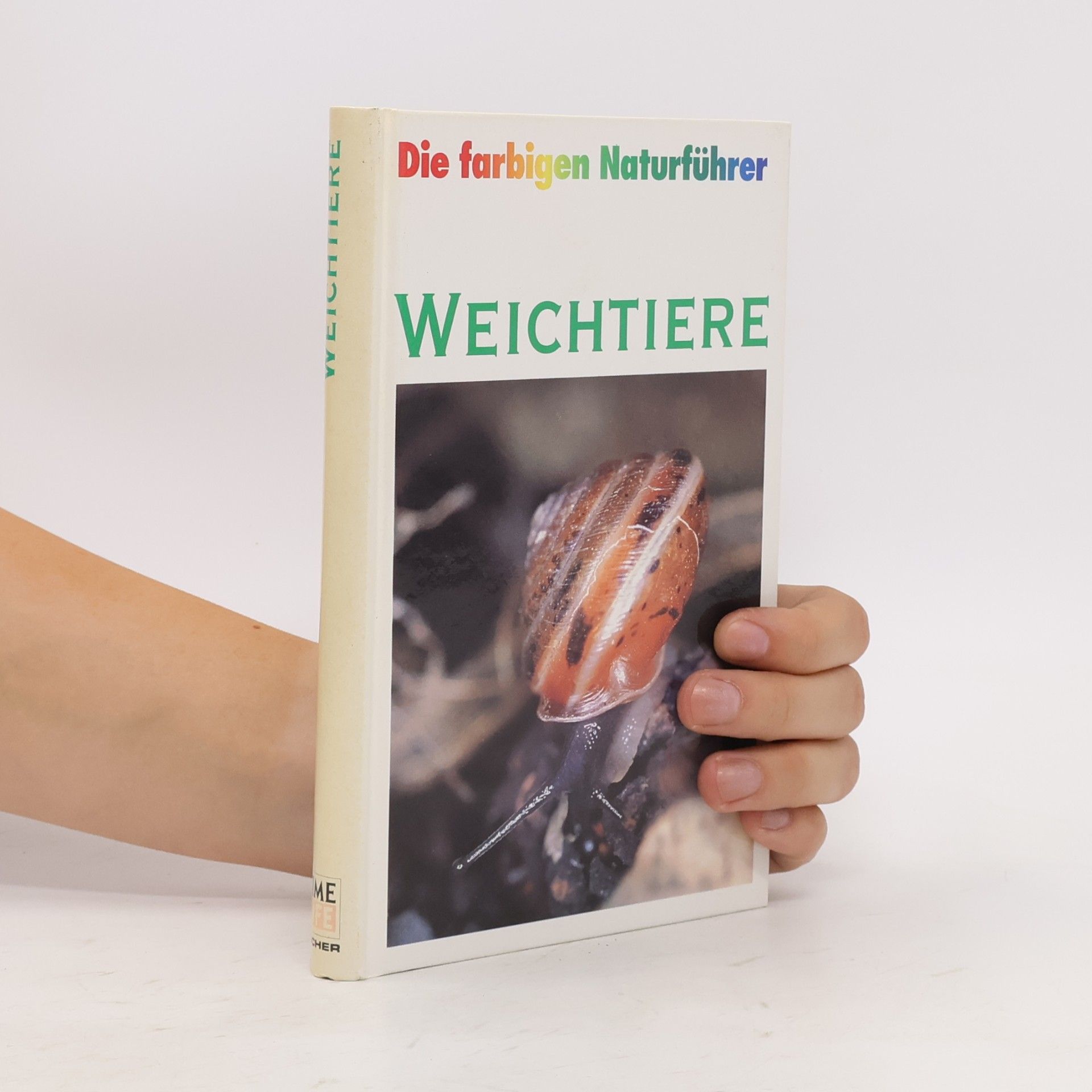 Autorenkollektiv Weichtiere