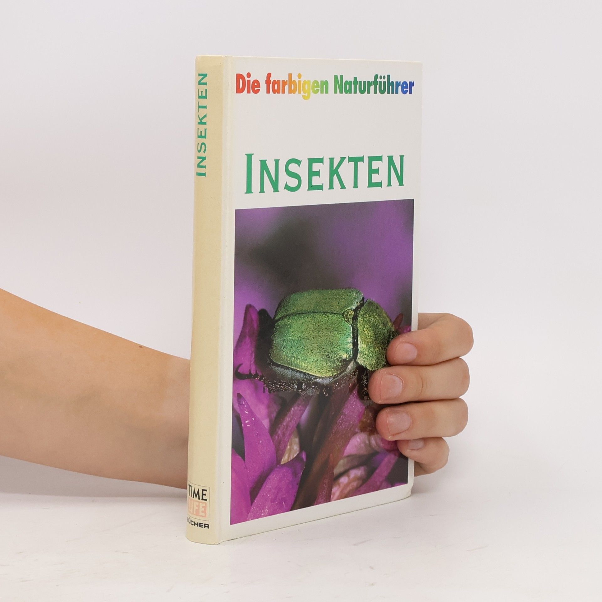 Autorenkollektiv Insekten