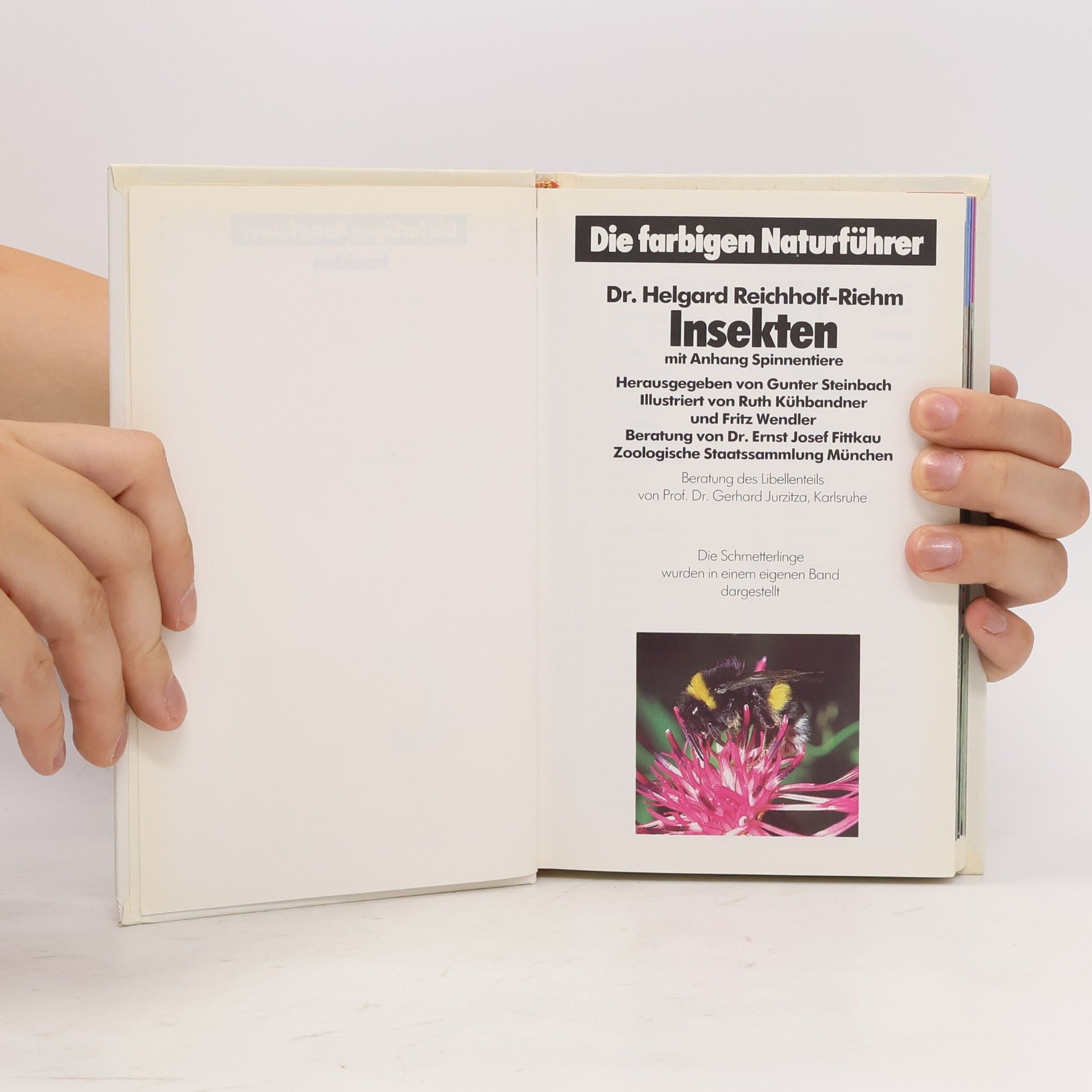 Auteurscollectief Insekten