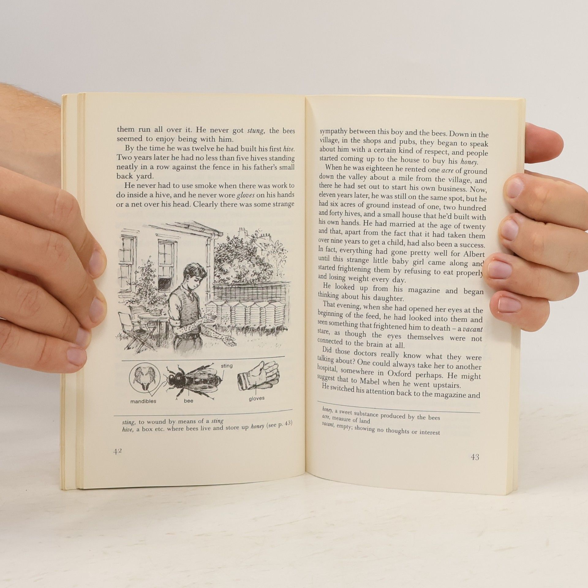 Roald Dahl Edward the Conqueror and other stories