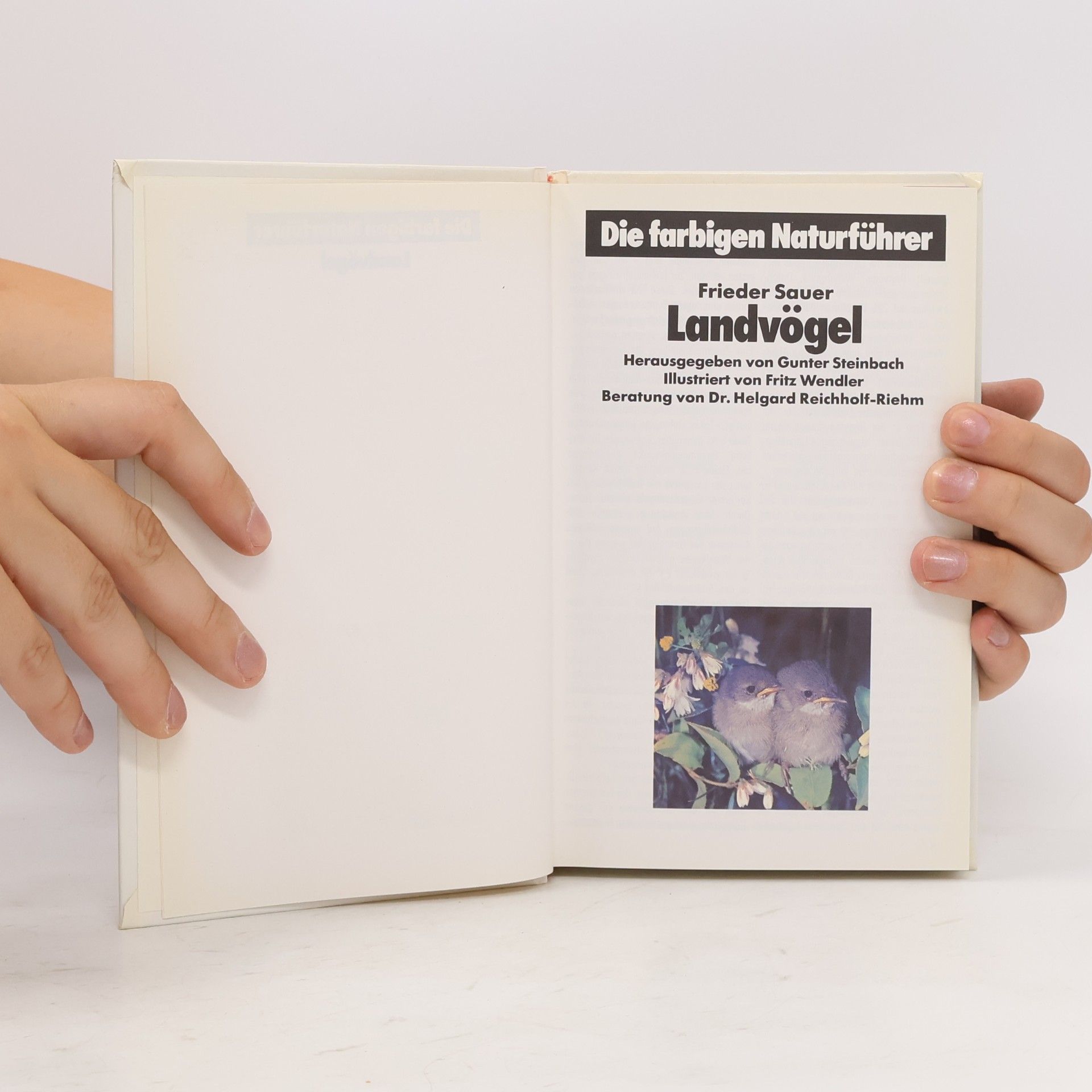 AA.VV. Landvögel