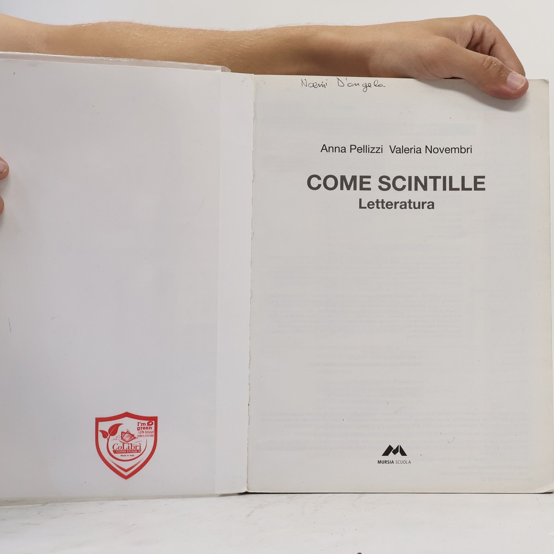 Anna Pellizzi Come Scintille L’emozione di leggere Letteratura