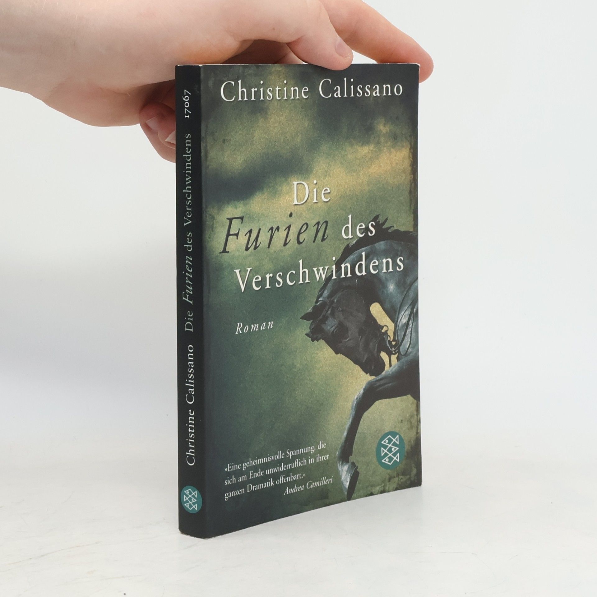 Christine Calissano Die Furien des Verschwindens