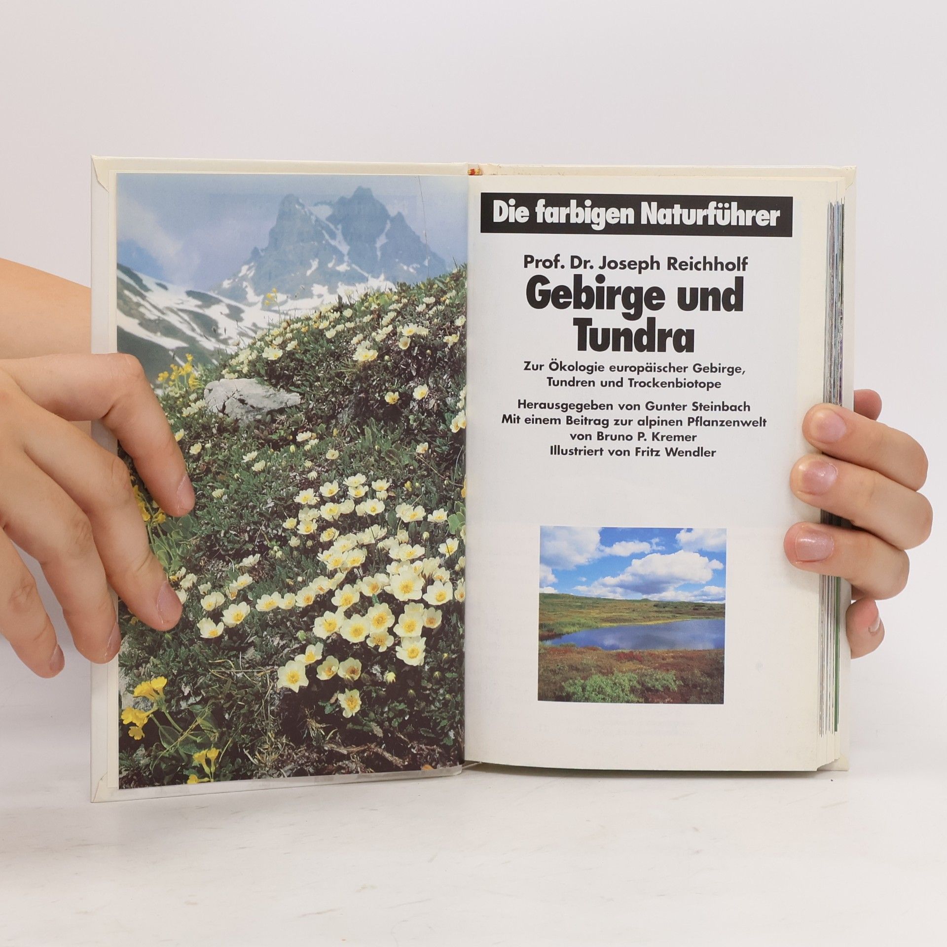 Autorenkollektiv Gebirge und Tundra