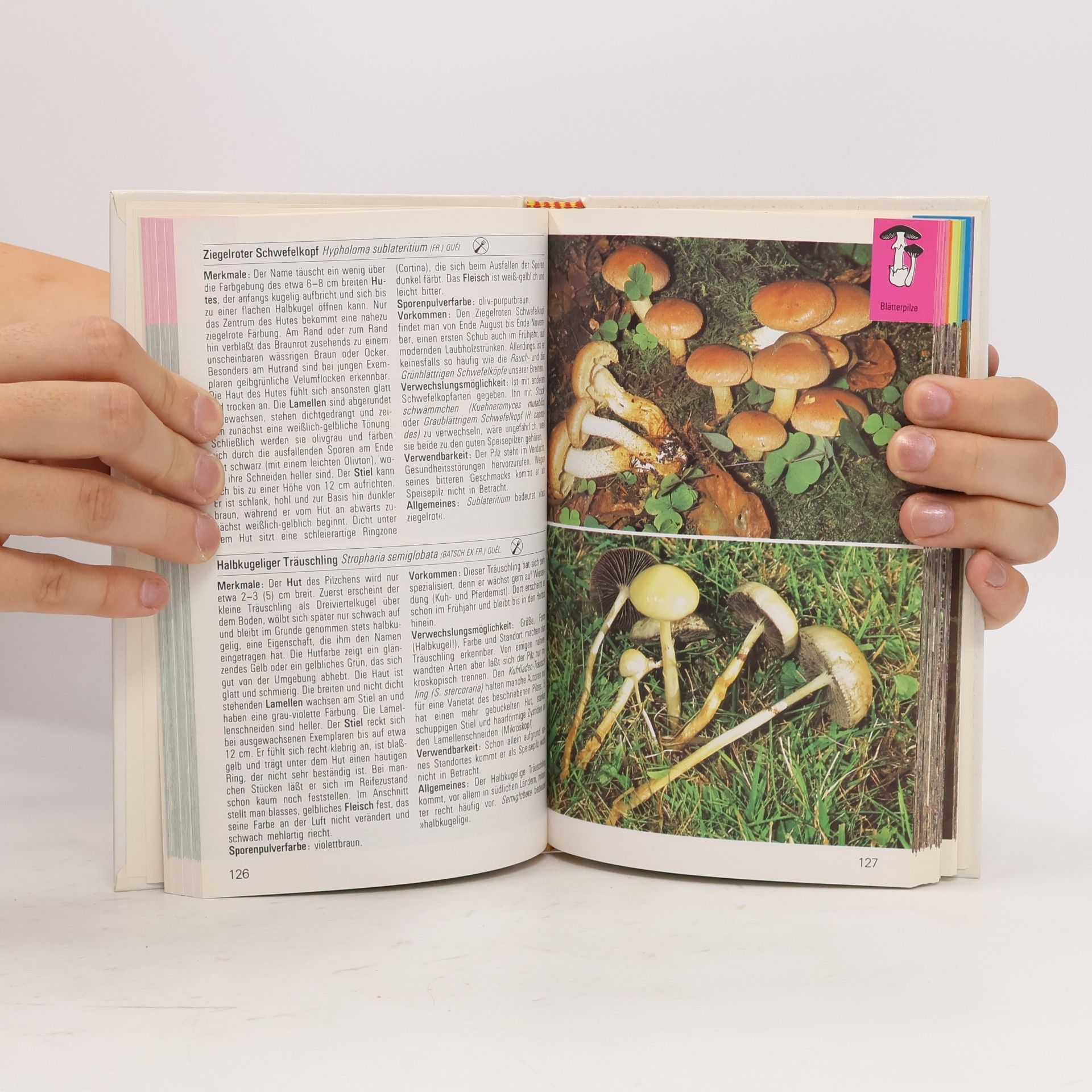 Kolektiv autorů Die farbigen Naturführer. Pilze