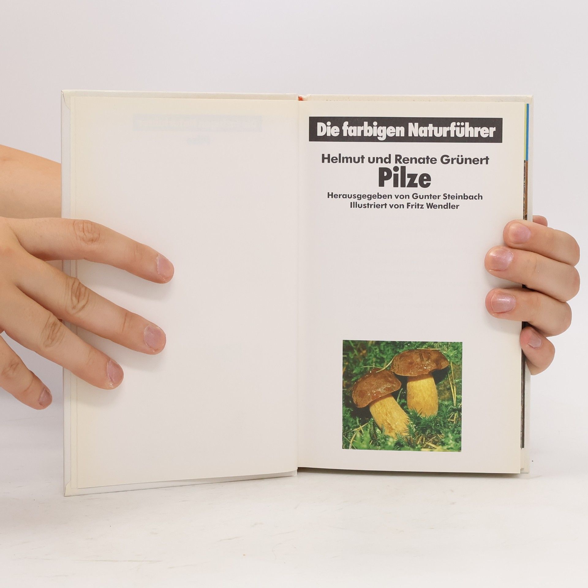 Kolektiv autorů Die farbigen Naturführer. Pilze