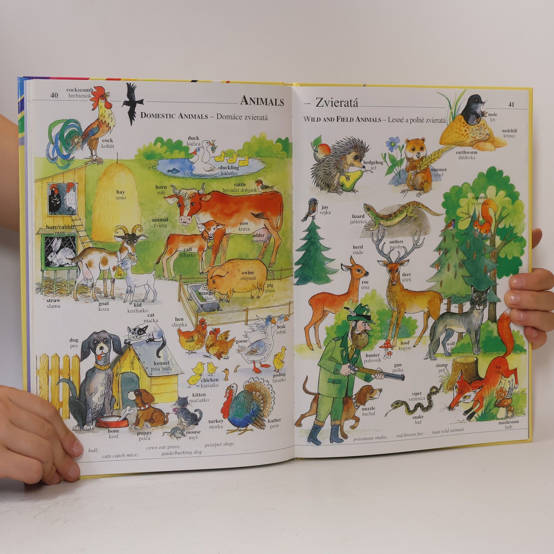 Autorenkollektiv Anglicko-slovenský obrázkový slovník