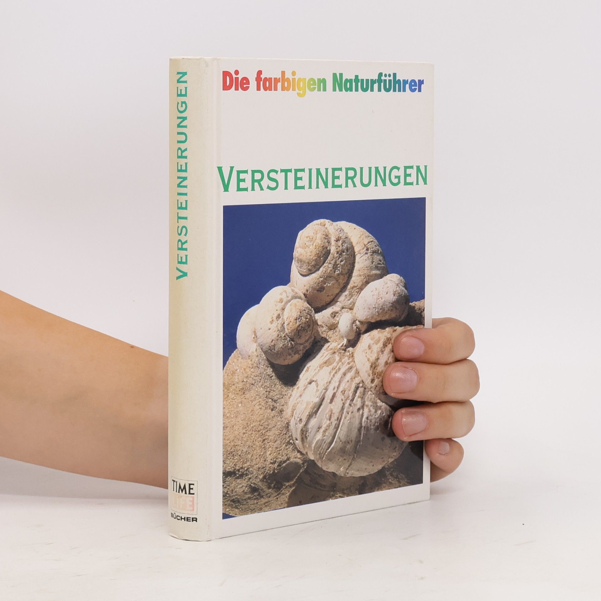 Autorenkollektiv Versteinerungen