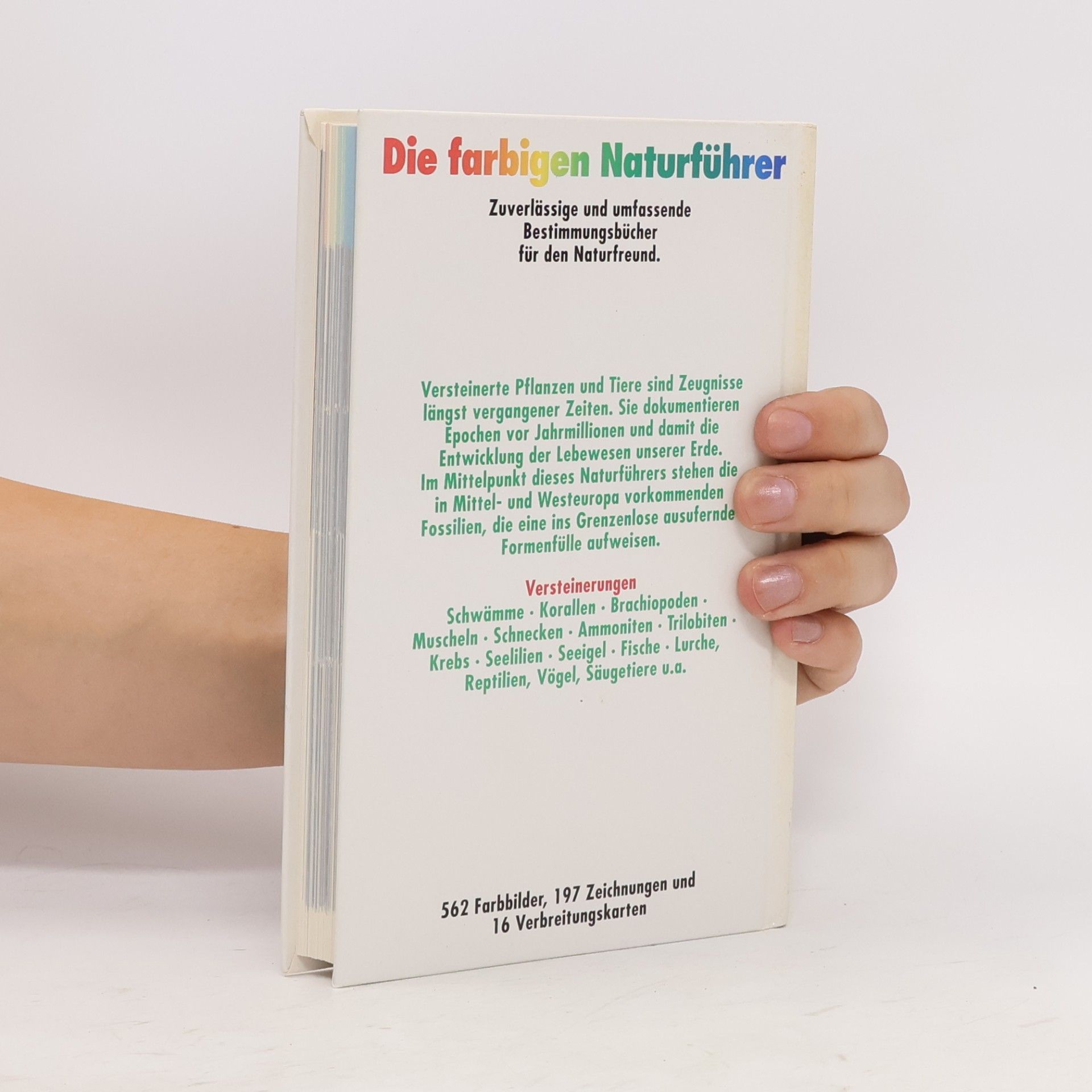 Autores varios Versteinerungen
