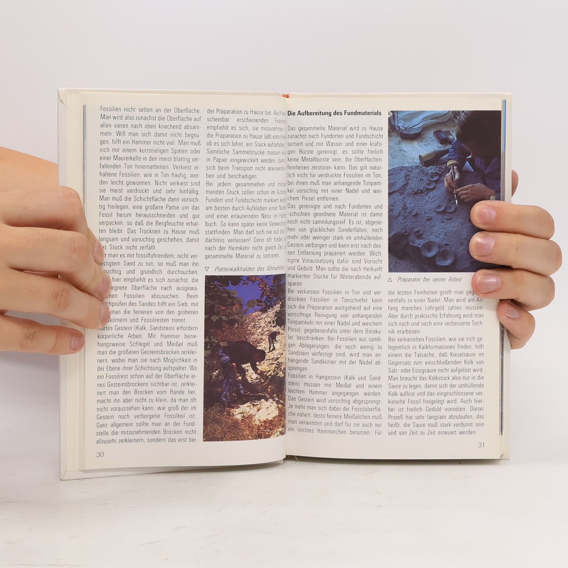 Autores varios Versteinerungen