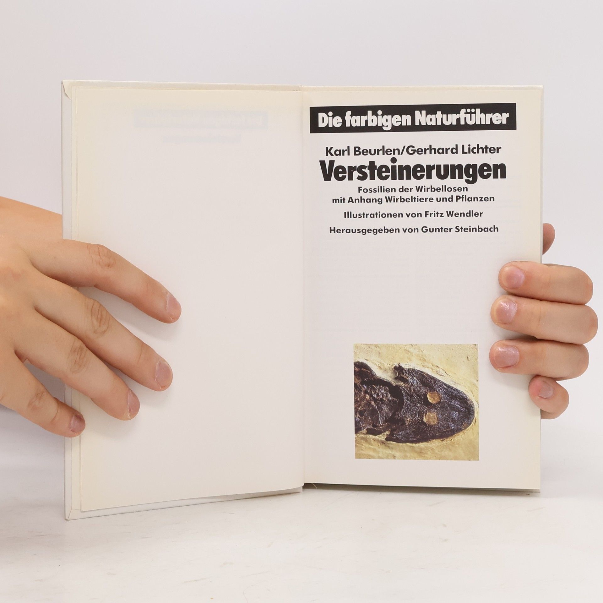 Autores varios Versteinerungen