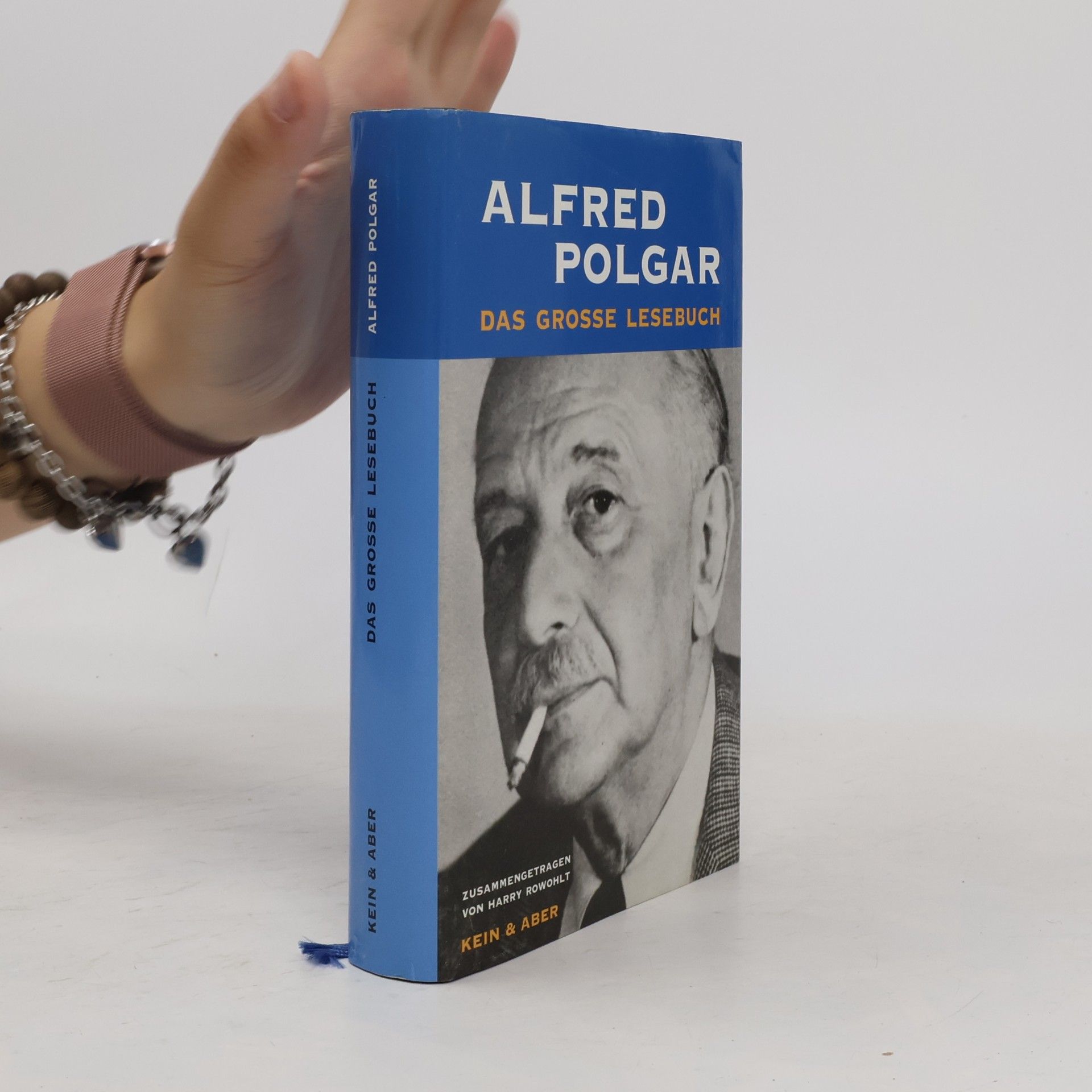 Alfred Polgar Das große Lesebuch