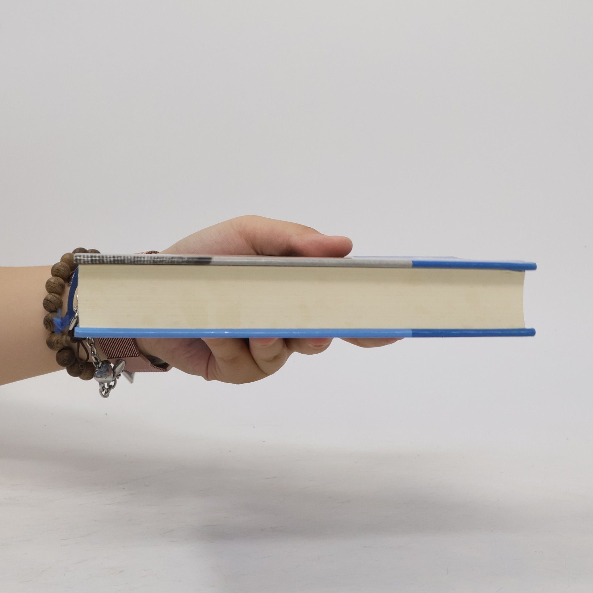 Alfred Polgar Das große Lesebuch