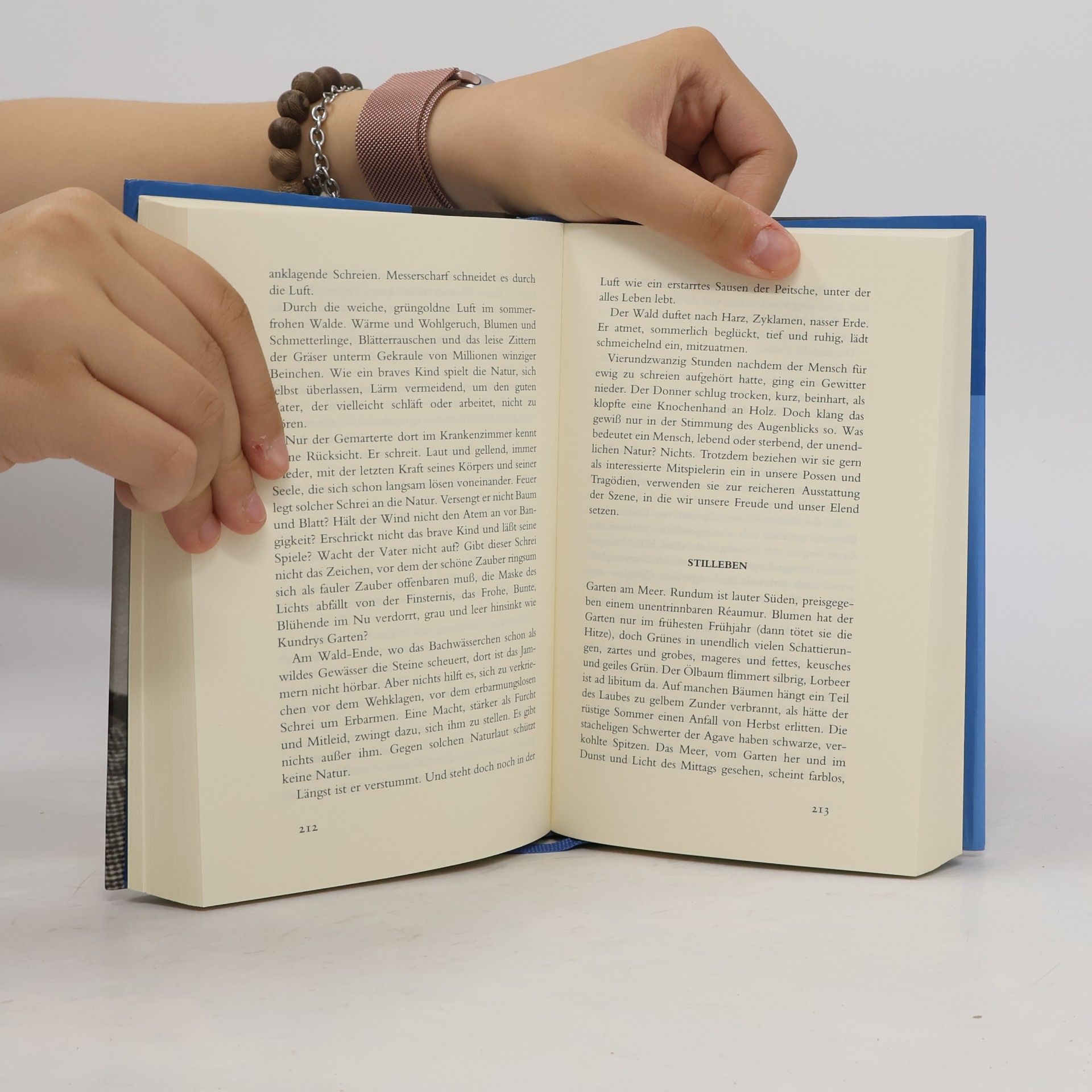 Alfred Polgar Das große Lesebuch
