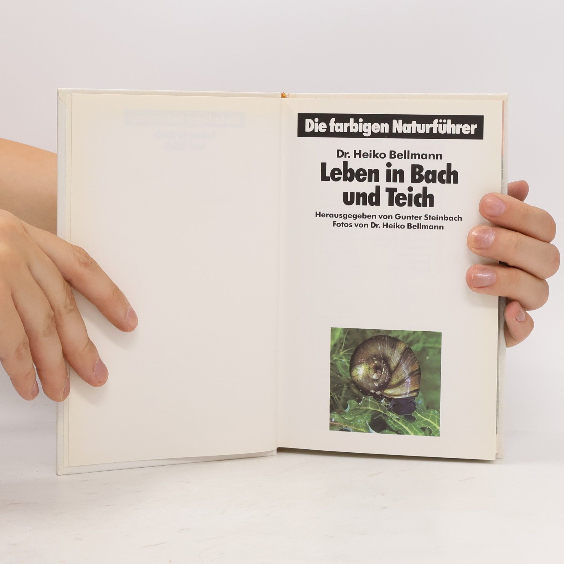 Autorenkollektiv Leben in Bach und Teich