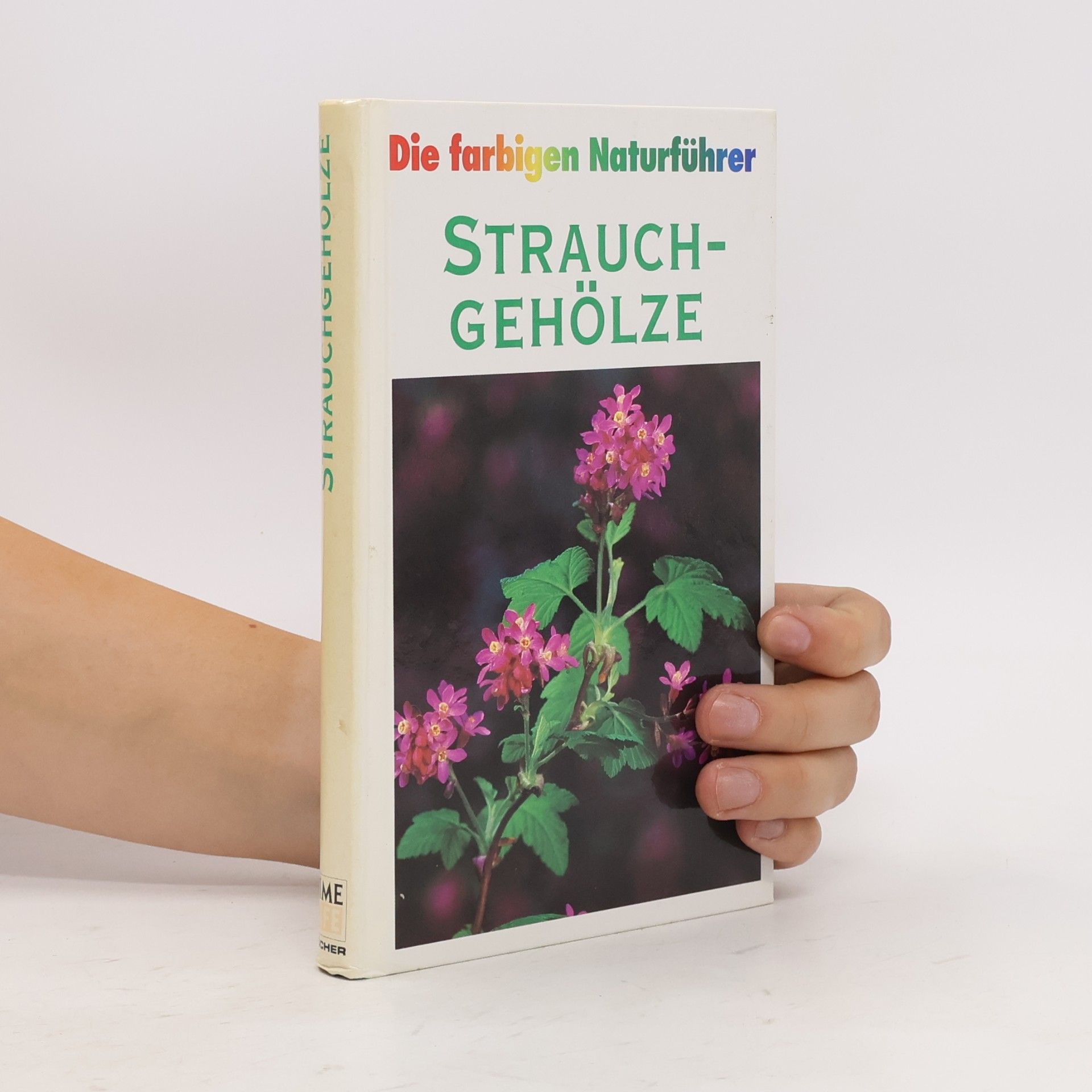 Autorenkollektiv Die farbigen Naturführer. Strauchgehölze