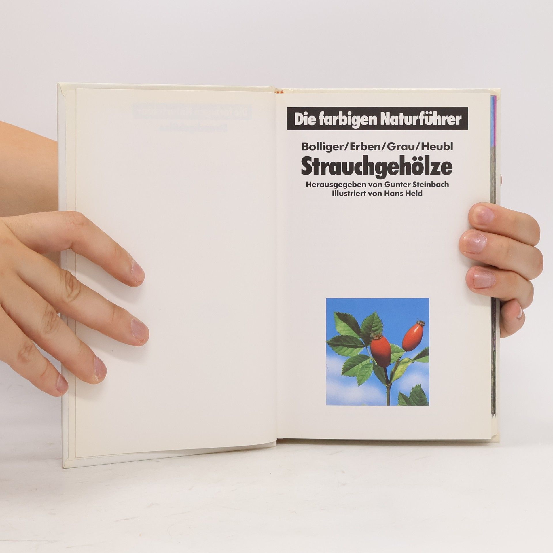 Collectif d'auteurs Die farbigen Naturführer. Strauchgehölze