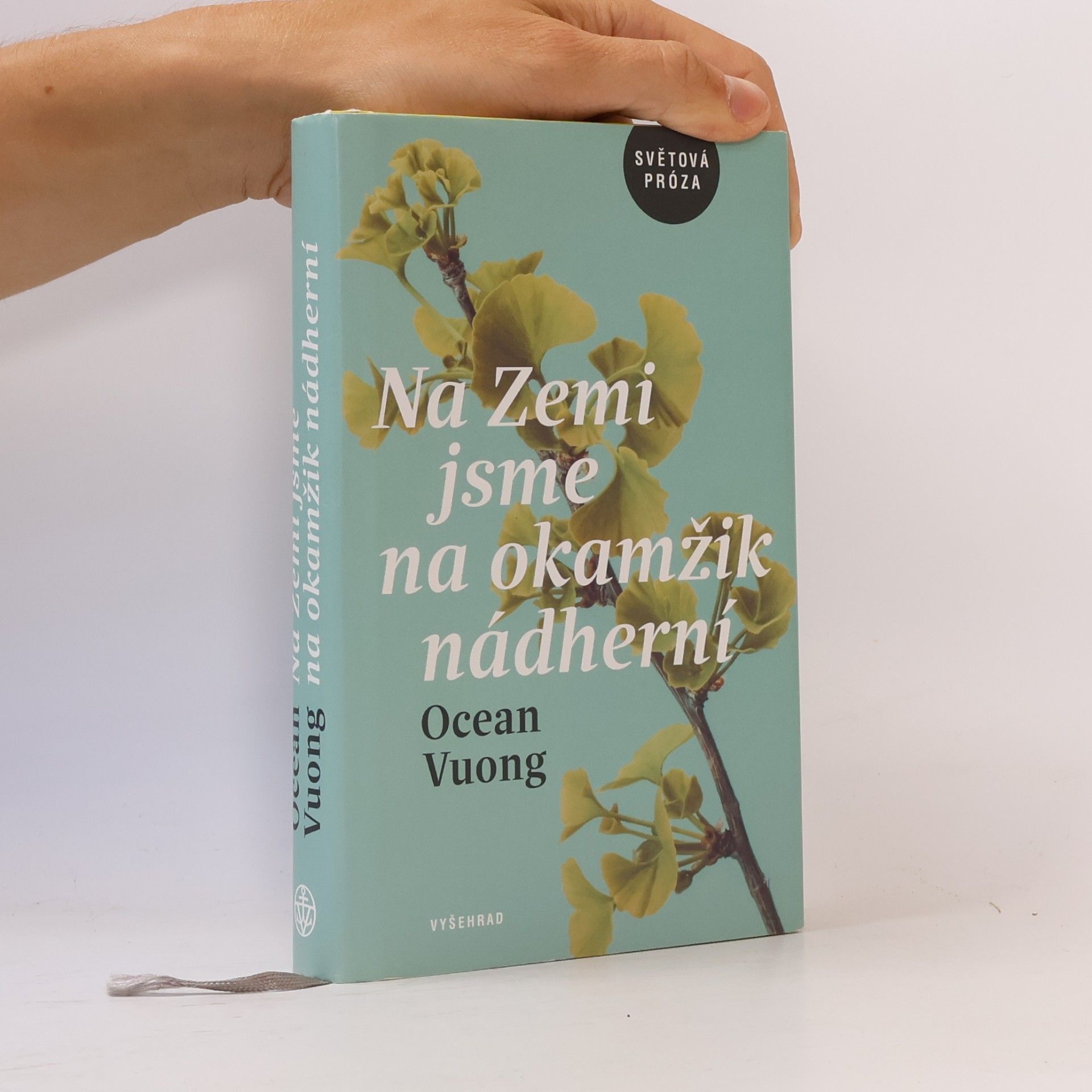Ocean Vuong Na Zemi jsme na okamžik nádherní