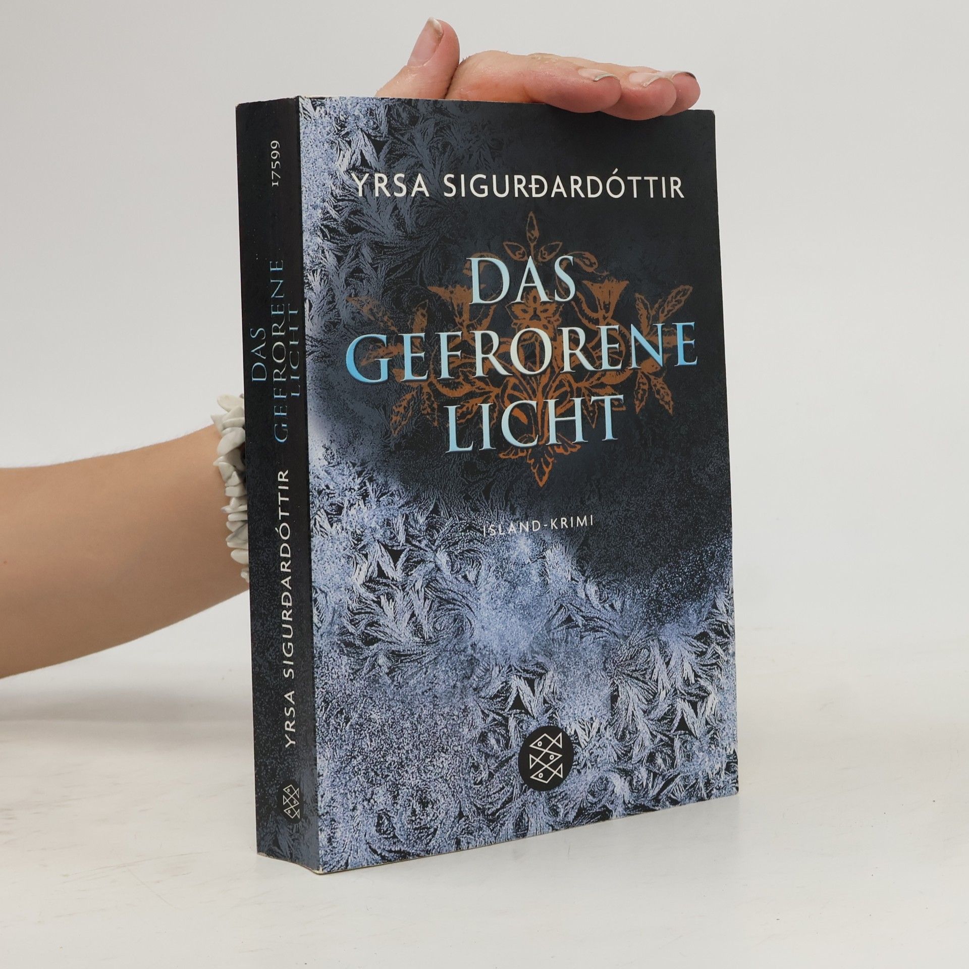 Yrsa Sigurðardóttir Das gefrorene Licht : Island - Krimi