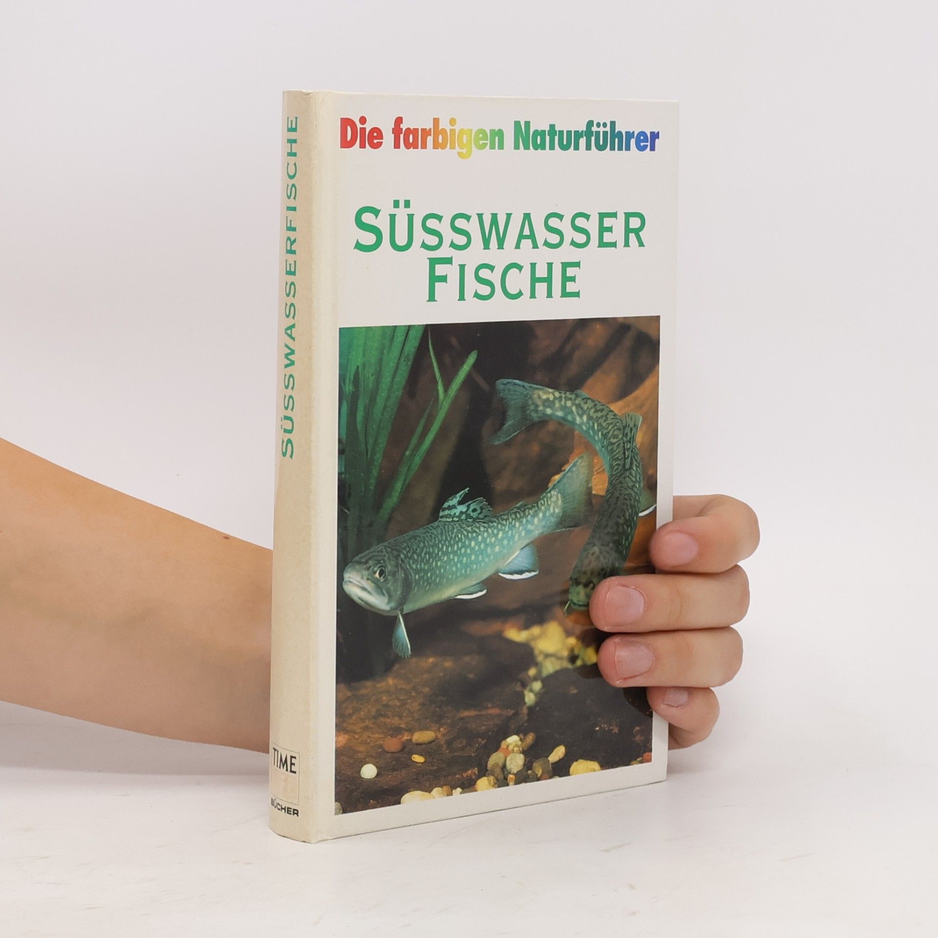 Autorenkollektiv Süsswasser Fische