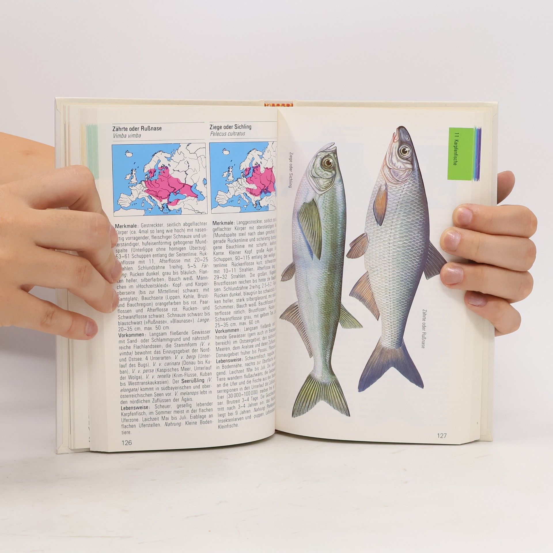 Autores varios Süsswasser Fische