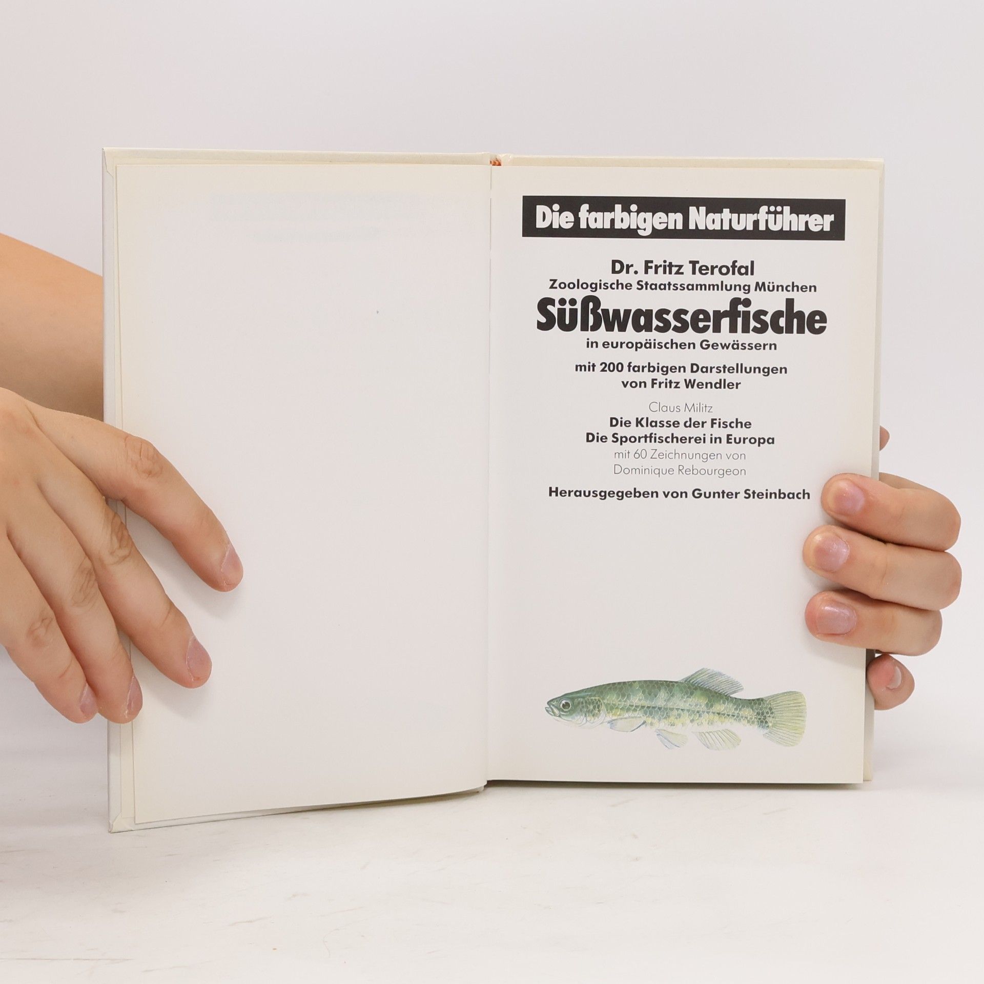 Autores varios Süsswasser Fische
