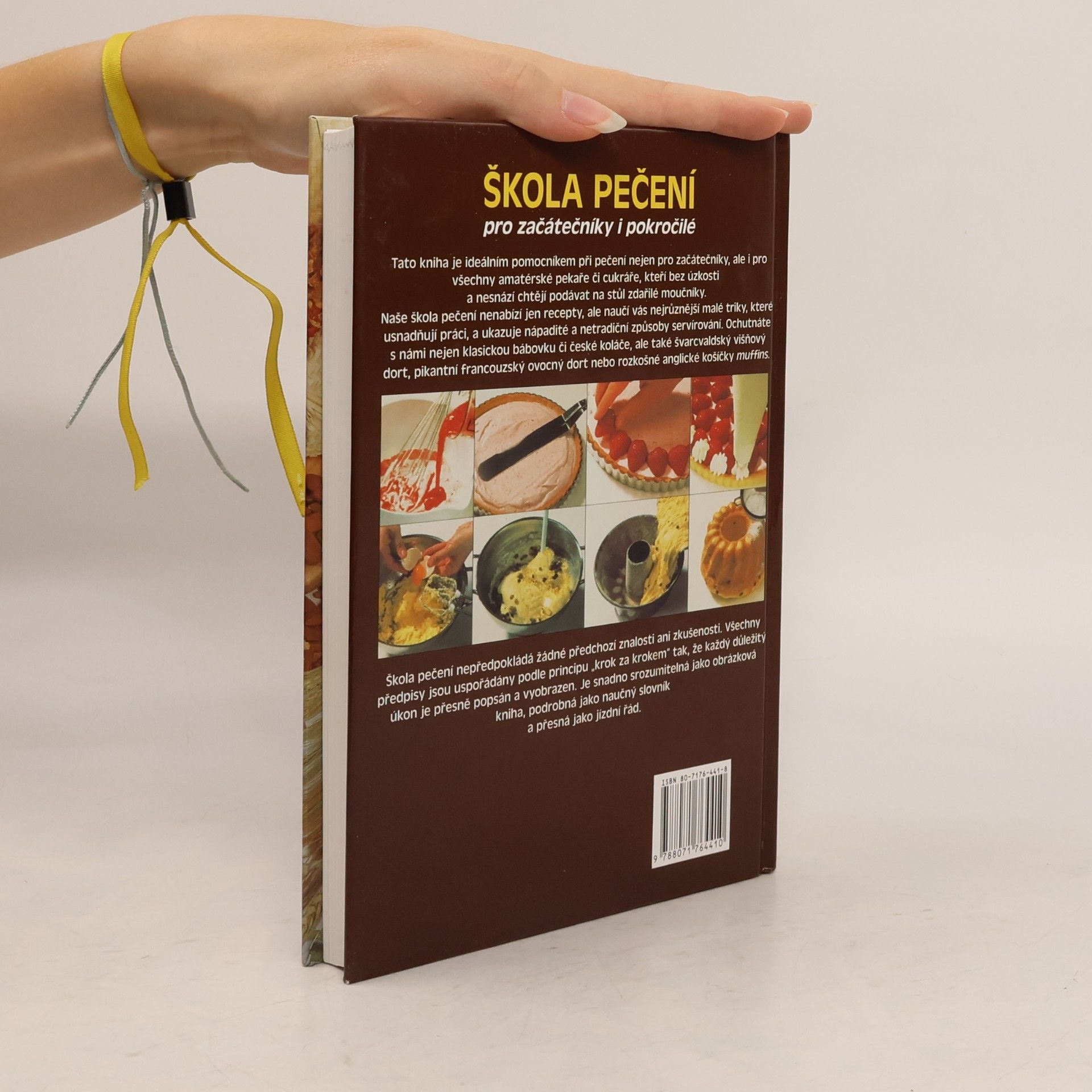 Mario Vejlupek Škola pečení pro začátečníky i pokročilé