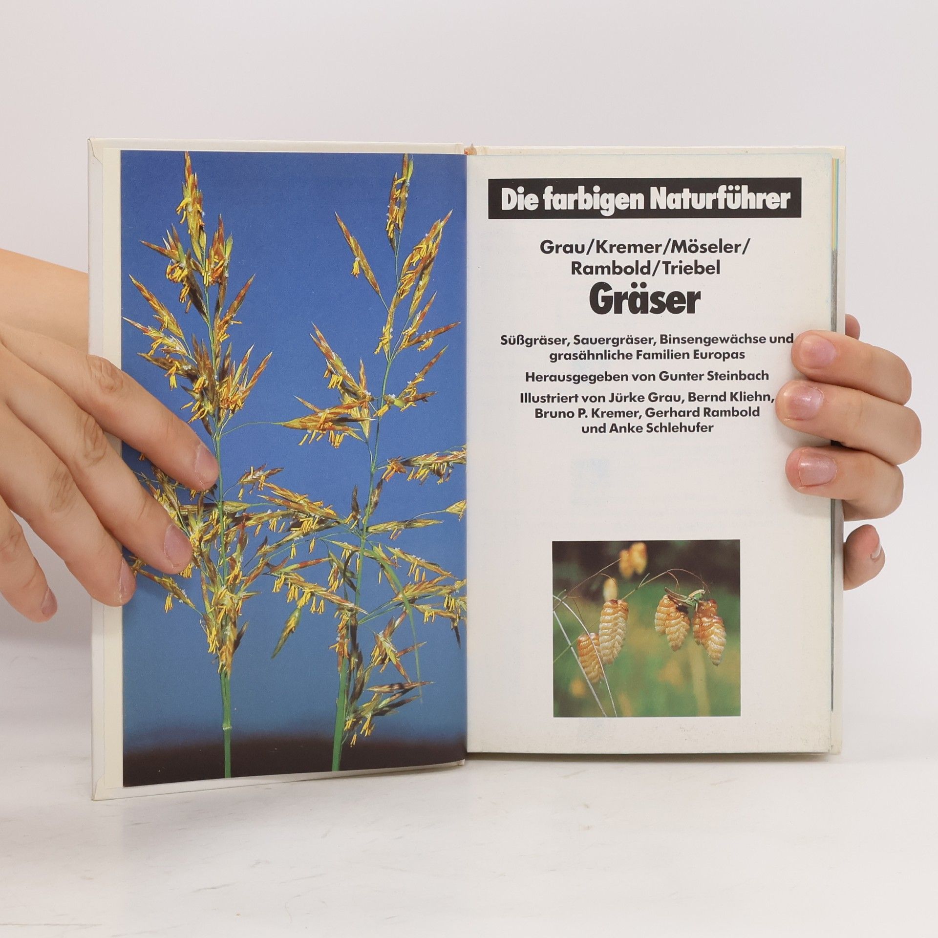 Auteurscollectief Gräser
