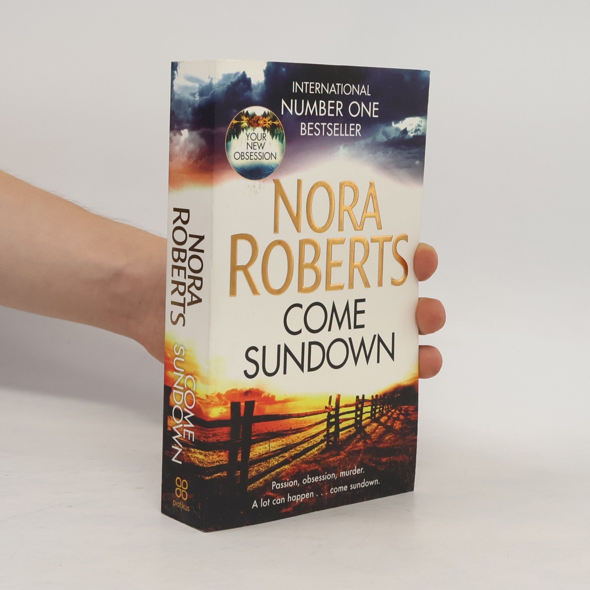 Nora Roberts Come sundown