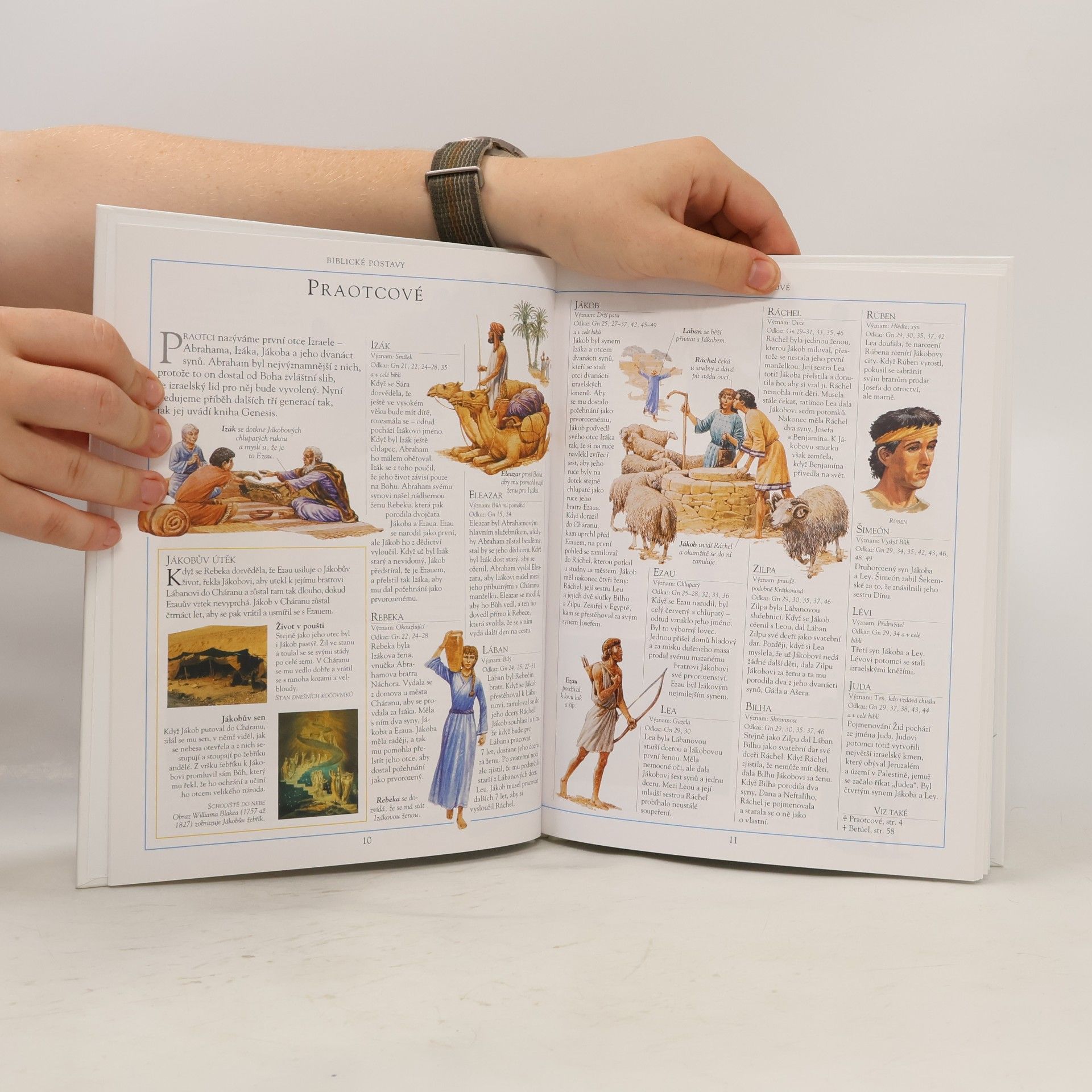 Collectif d'auteurs Biblické postavy: Kdo je kdo ve Starém a Novém zákoně