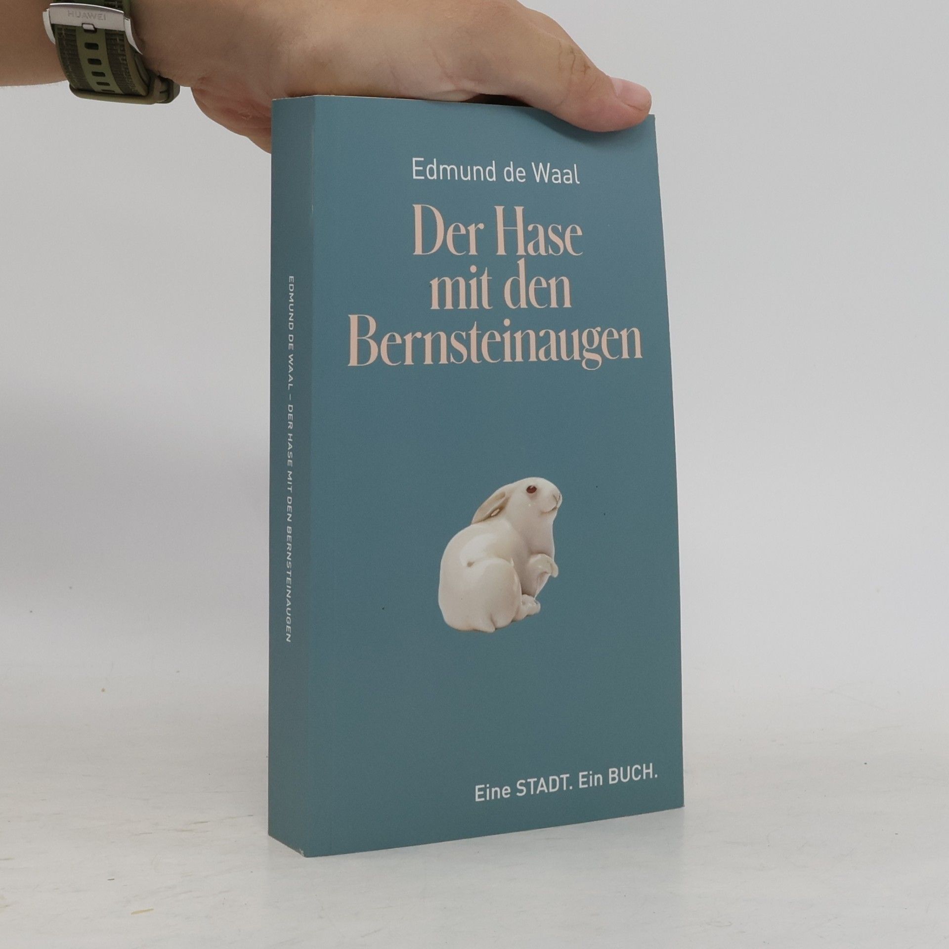 Edmund de Waal Der Hase mit den Bernsteinaugen