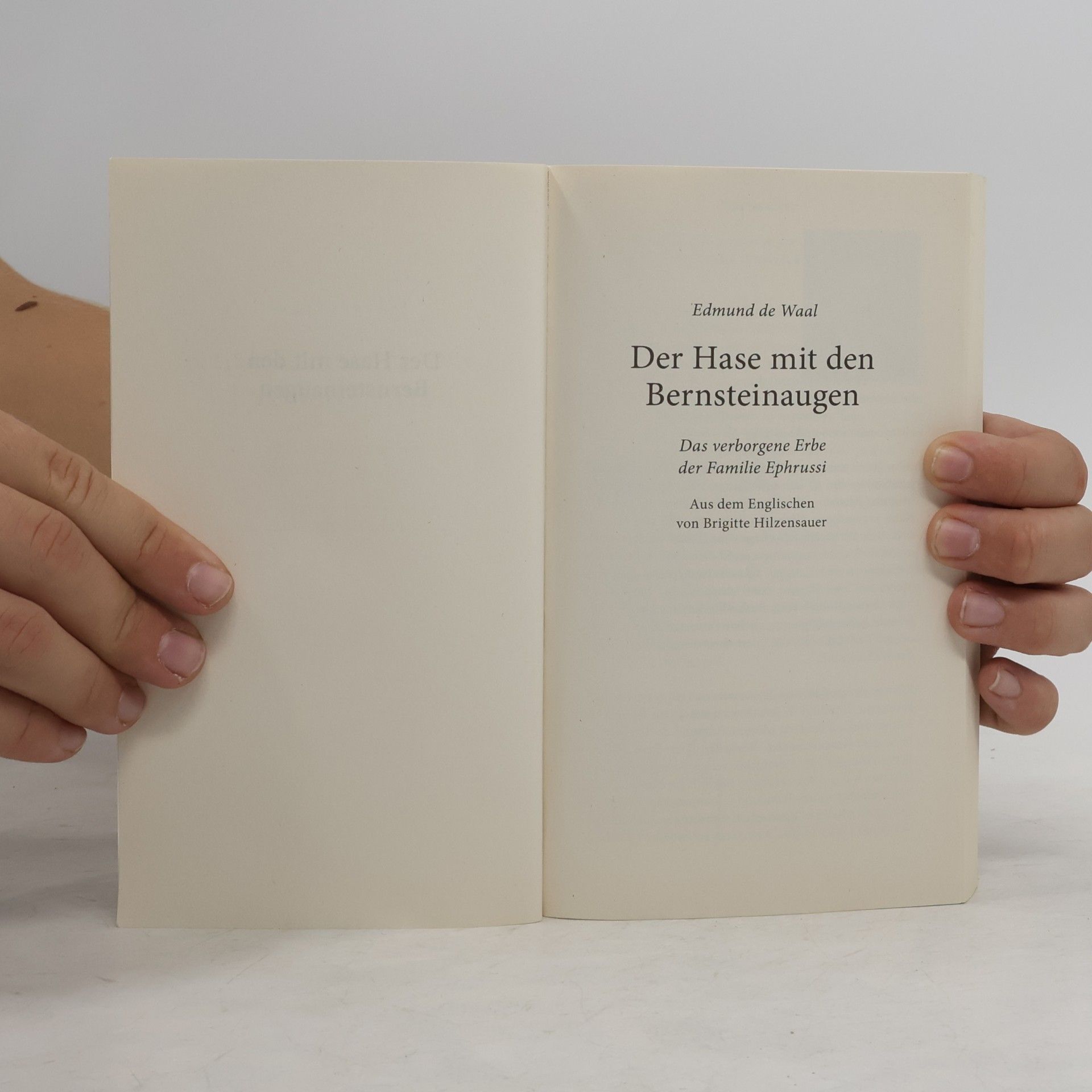 Edmund de Waal Der Hase mit den Bernsteinaugen