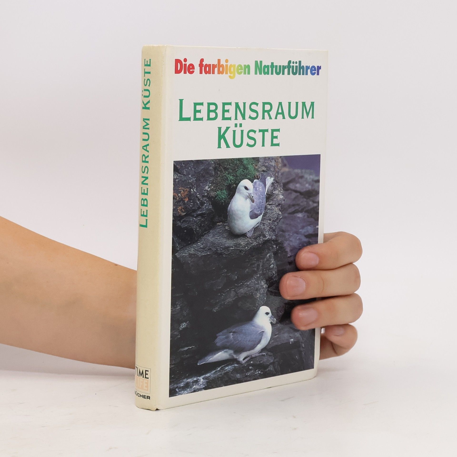 Autorenkollektiv Die farbigen Naturführer: Lebensraum Küste