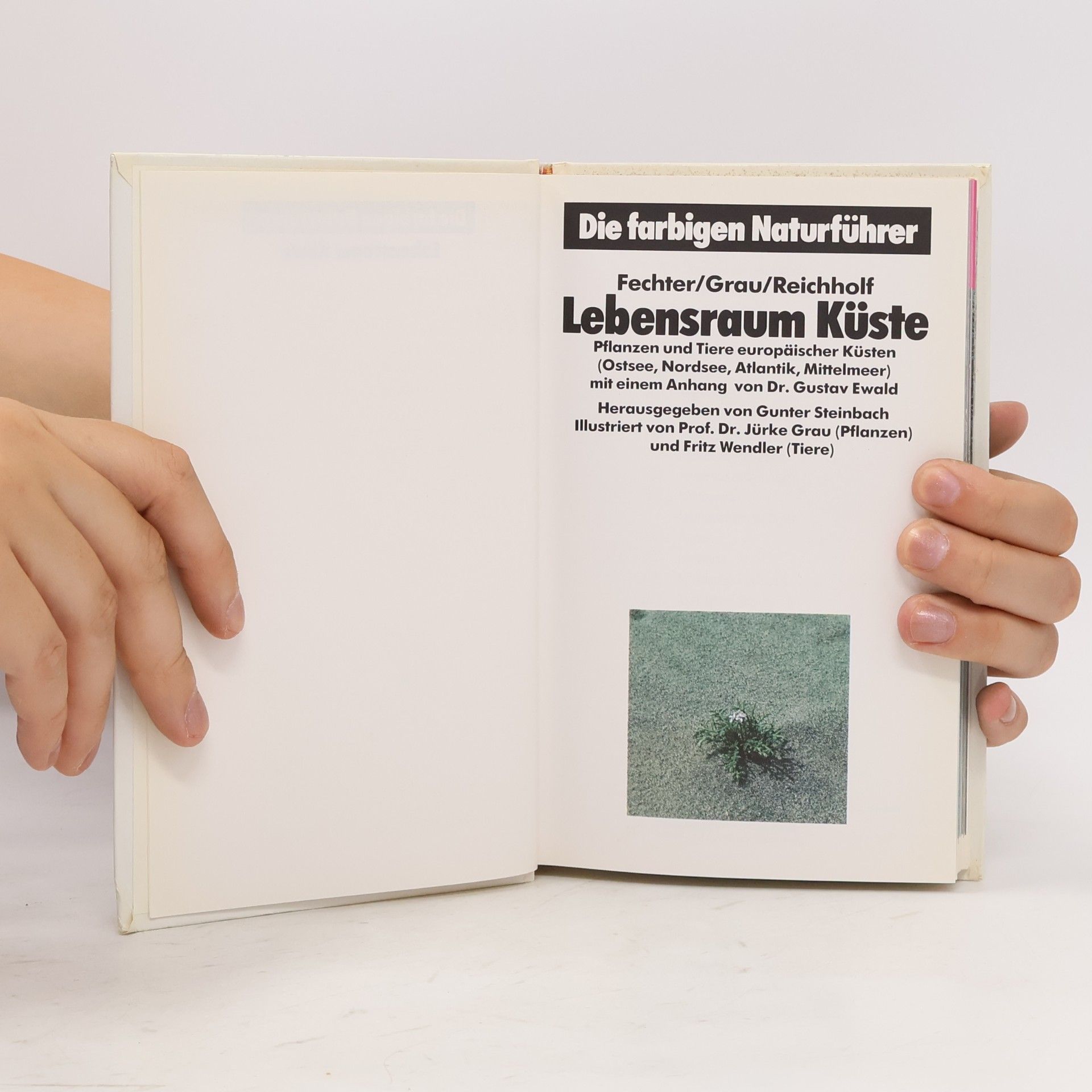 Kolektív autorov Die farbigen Naturführer: Lebensraum Küste