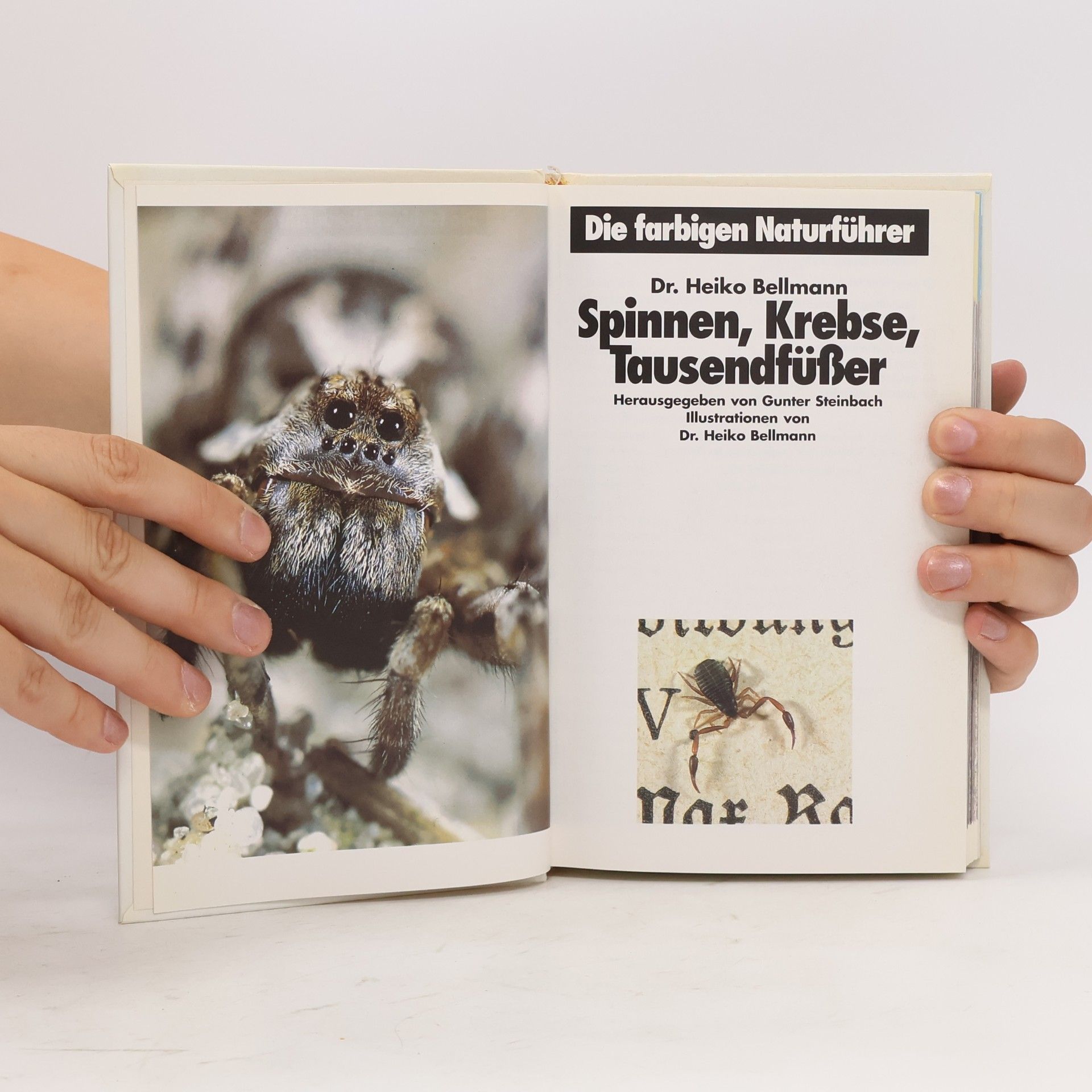 Kolektív autorov Spinnen, Krebse, Tausendfüsser