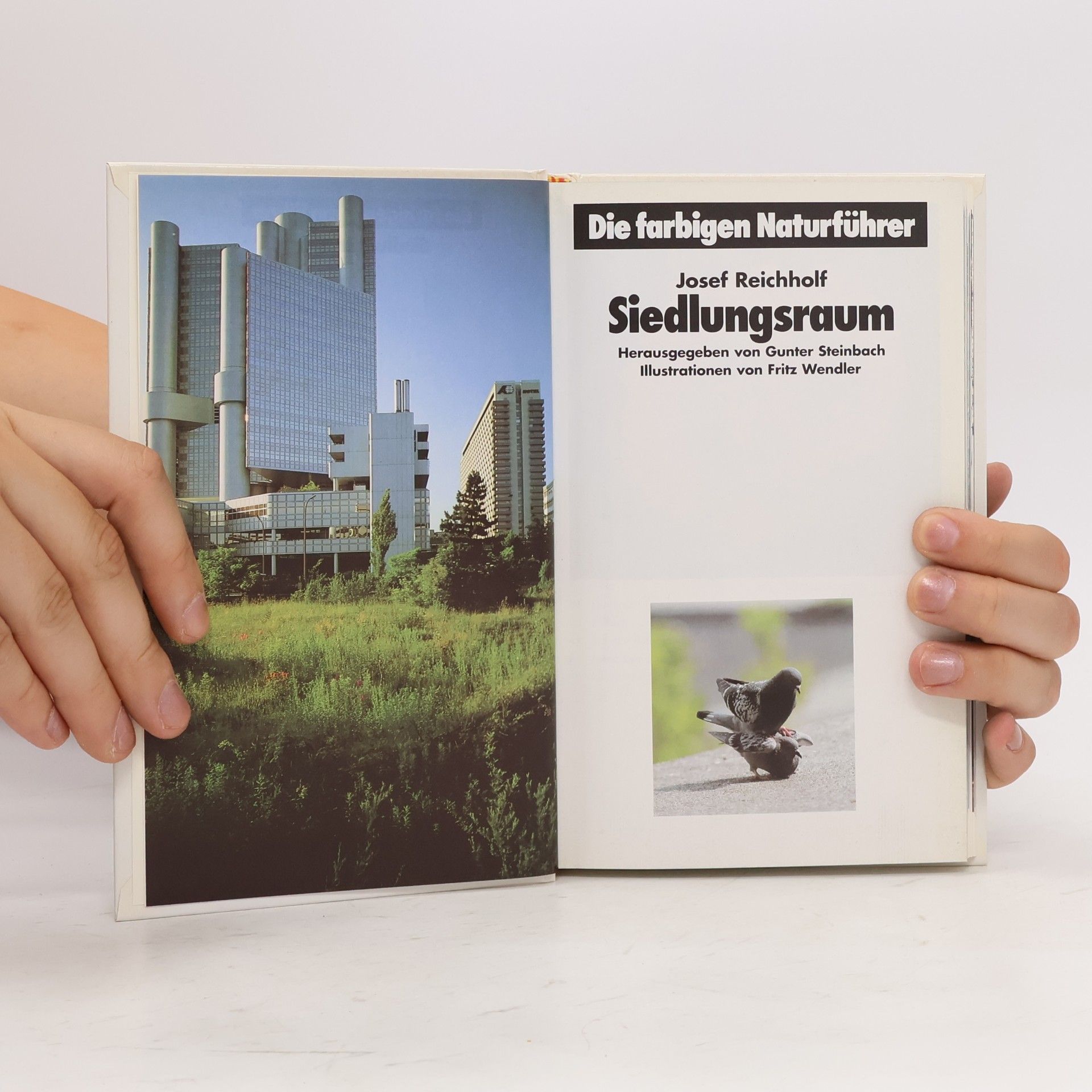 Autorenkollektiv Die farbigen Naturführer: Siedlungsraum