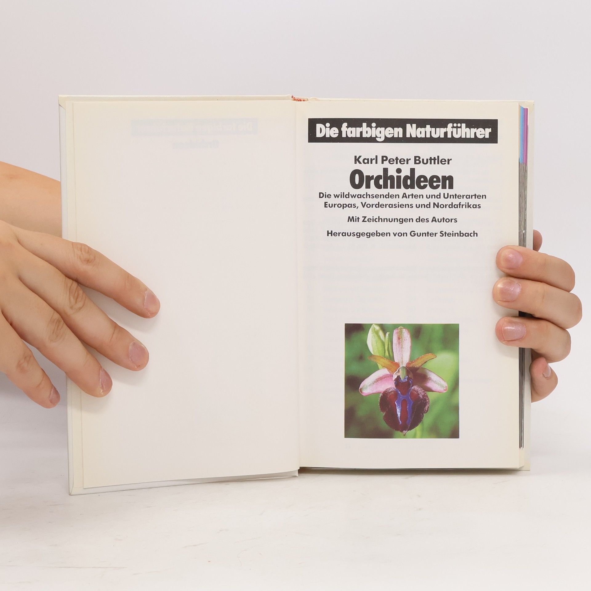 Autorenkollektiv Orchideen