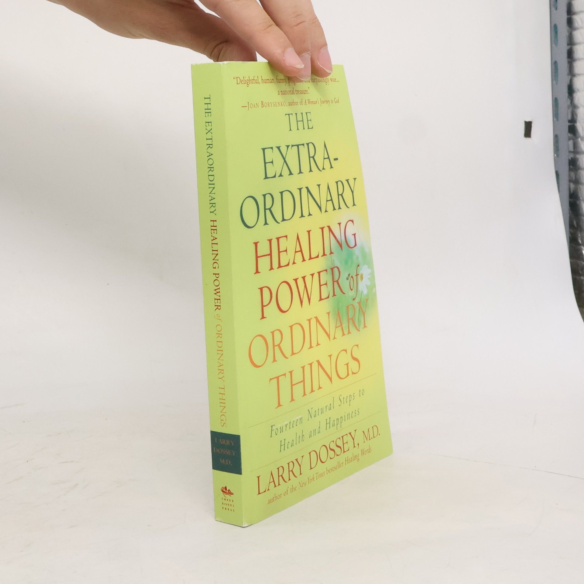 Larry Dossey The Extraordinary Healing Power of Ordinary Things