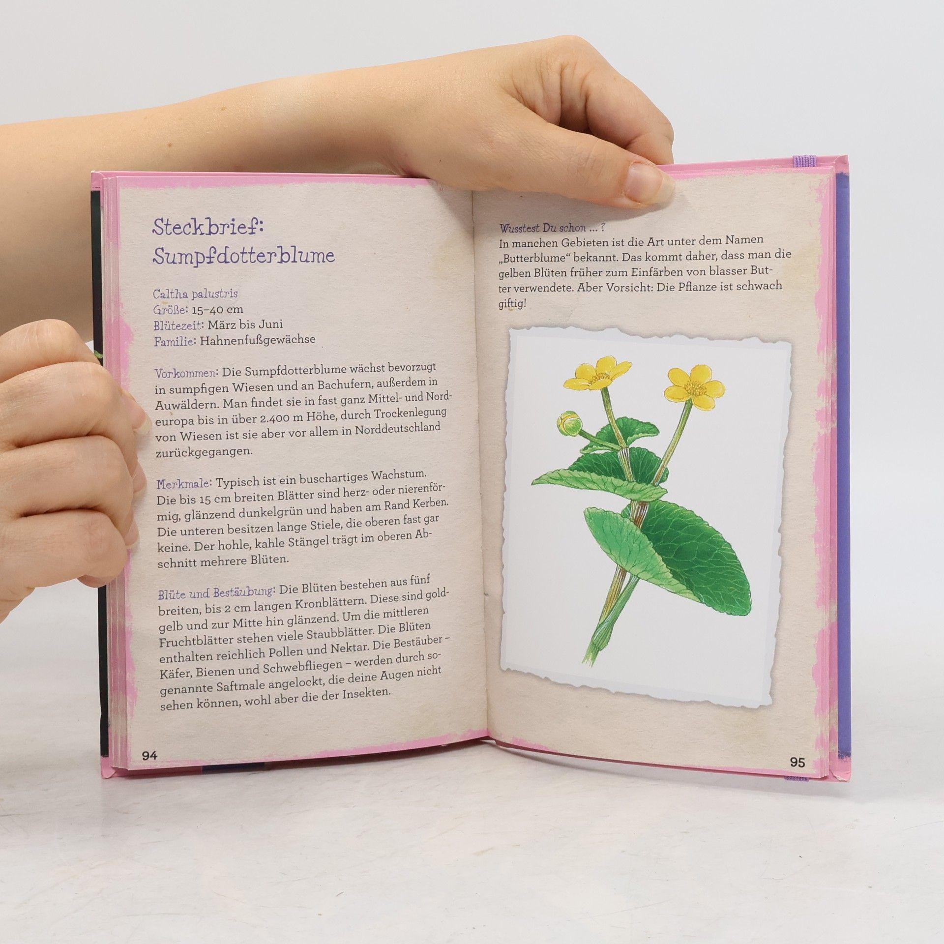 Collectif d'auteurs Die Welt der Wildblumen